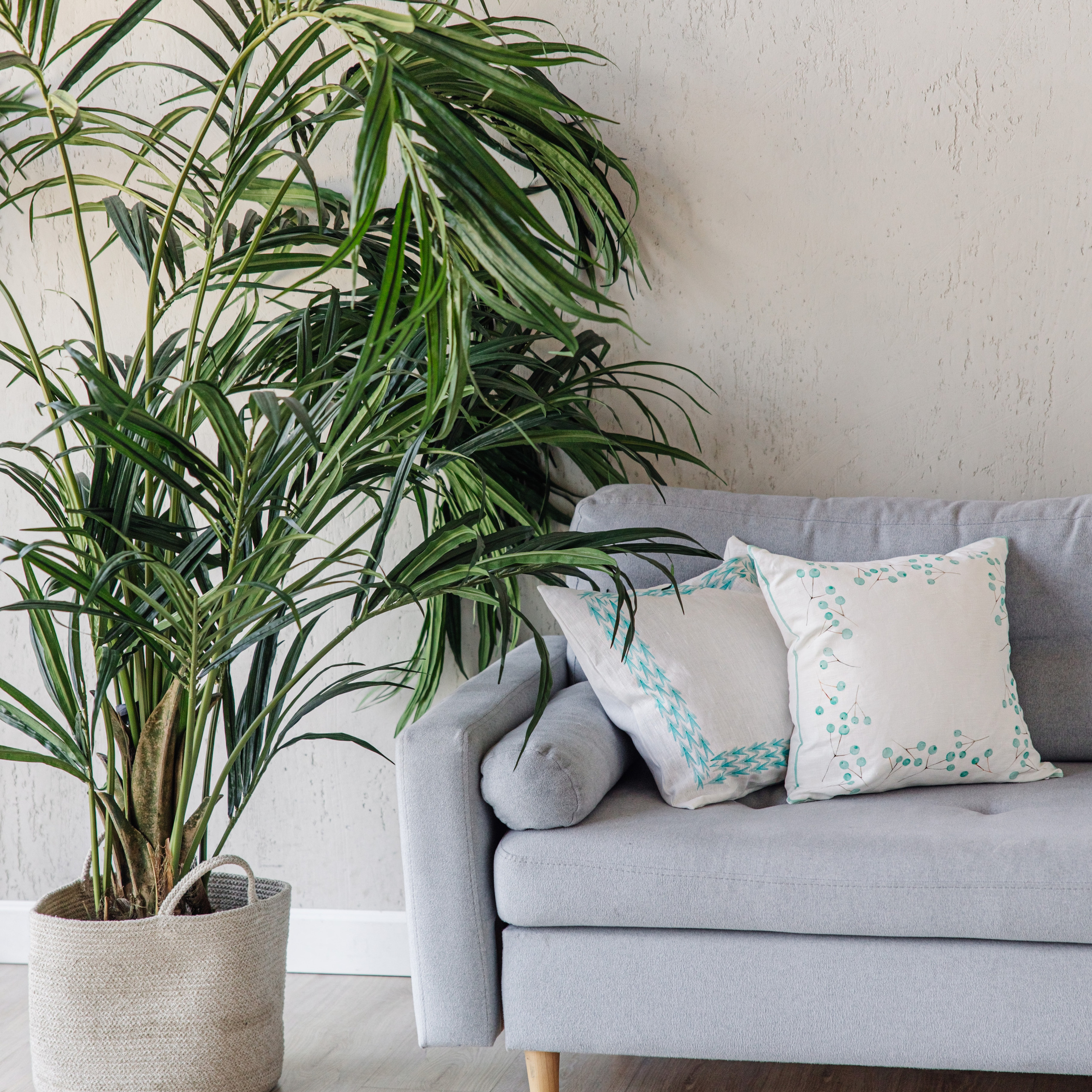 Студия экологичного контента