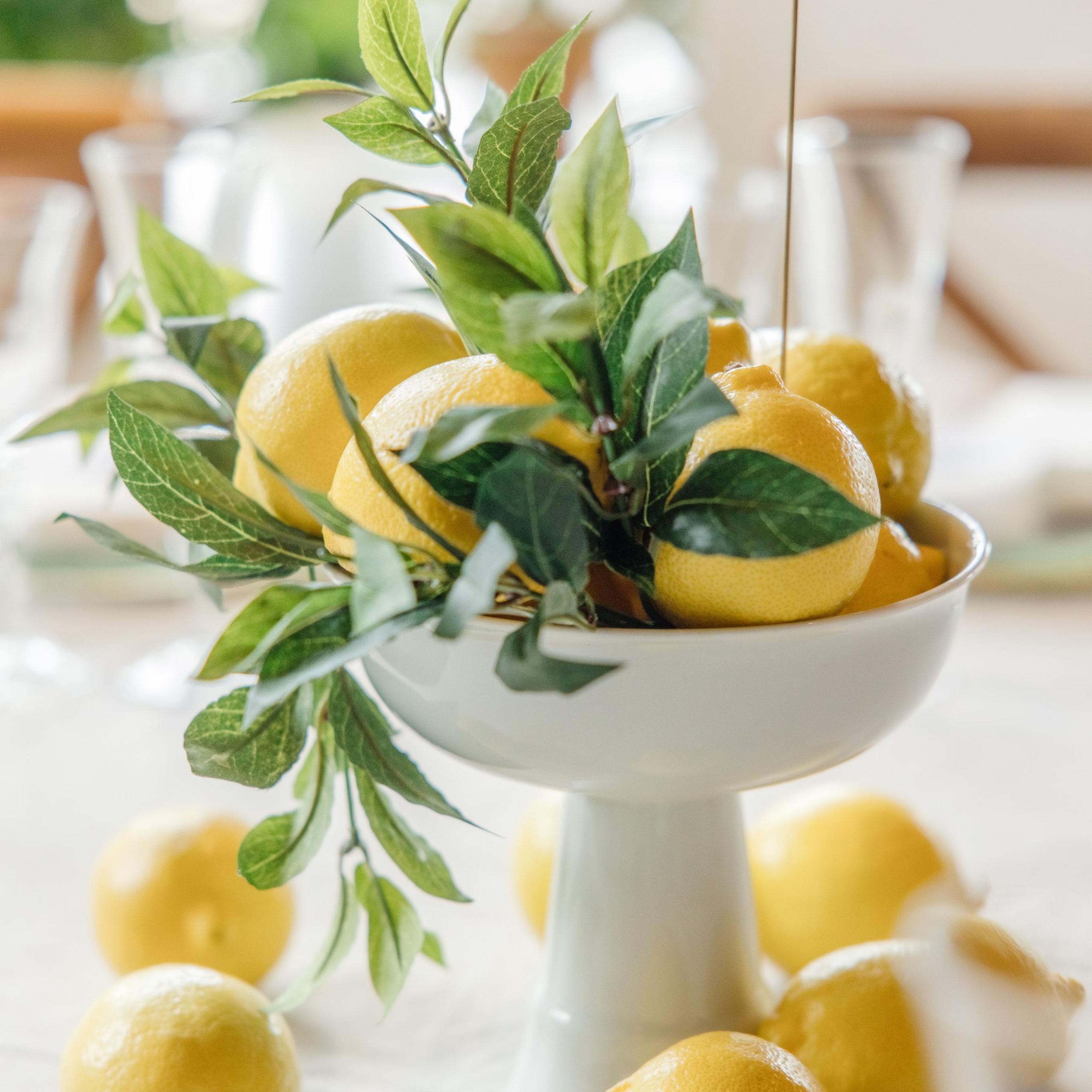 Студия экологичного контента