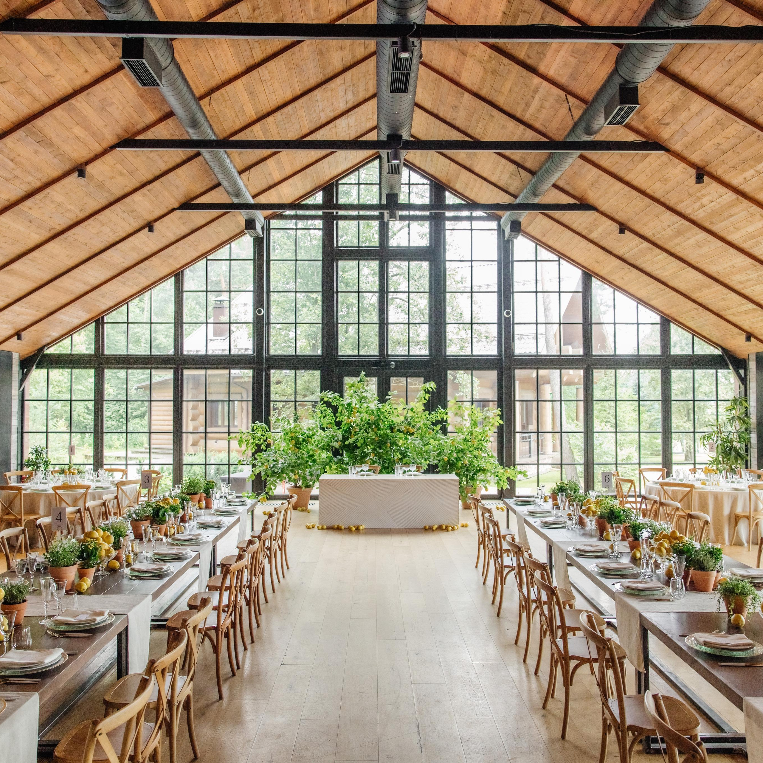 Студия экологичного контента