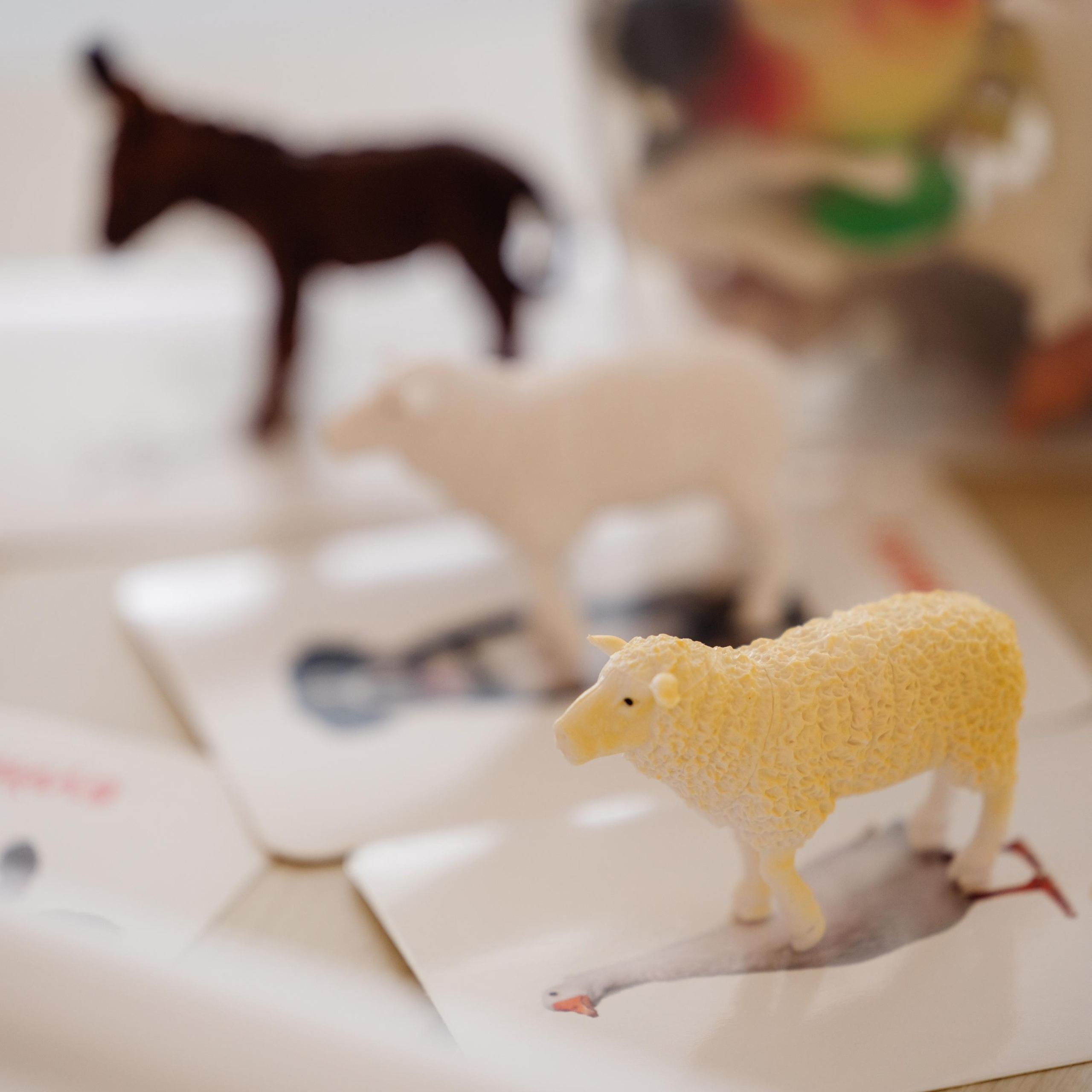 Студия экологичного контента