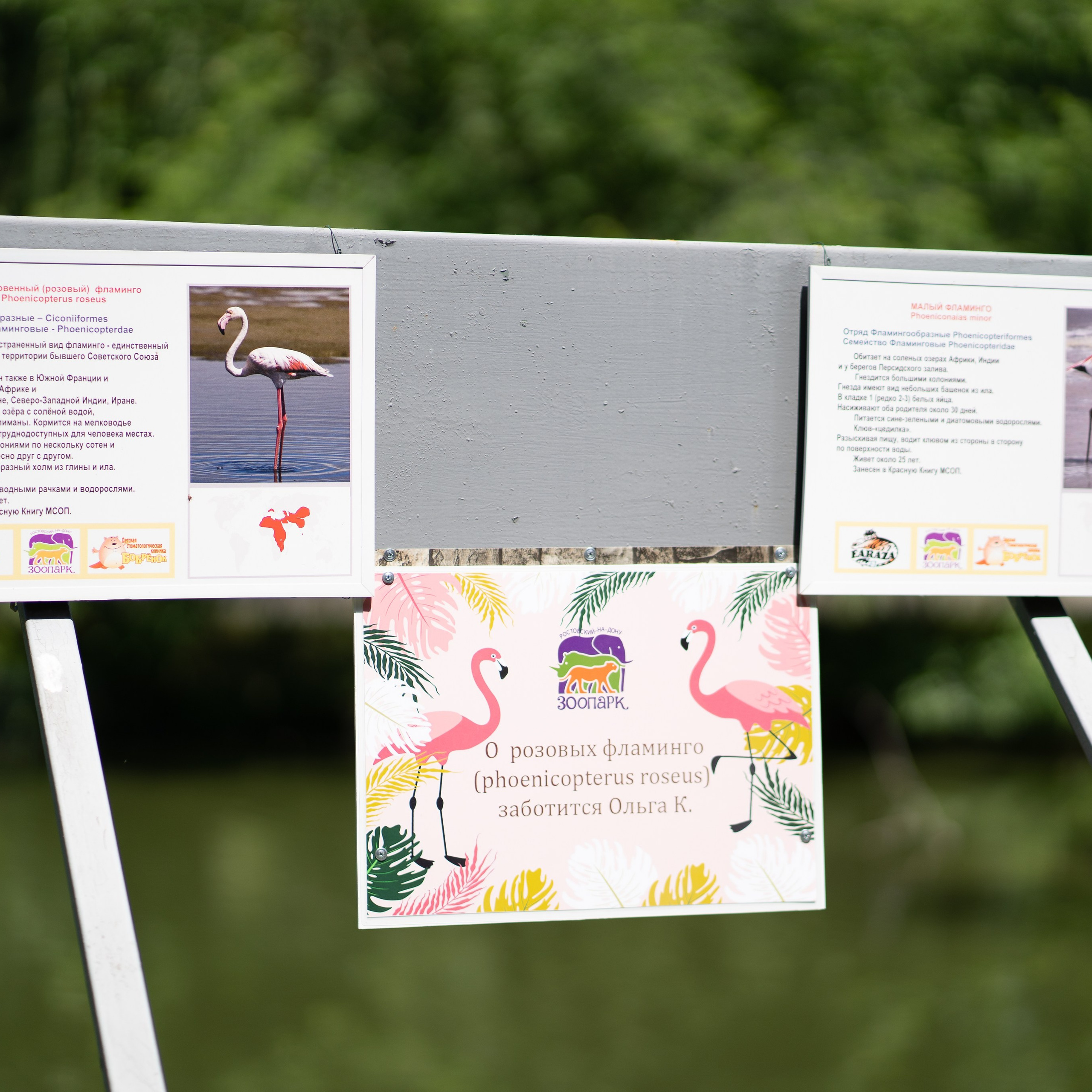 Фото Ростова-на-Дону скачать бесплатно | Красивые виды города, достопримечательности, фасады заведений. Свадебный и семейный фотограф в Ростове-на-Дону. Андрей Сайфутдинов