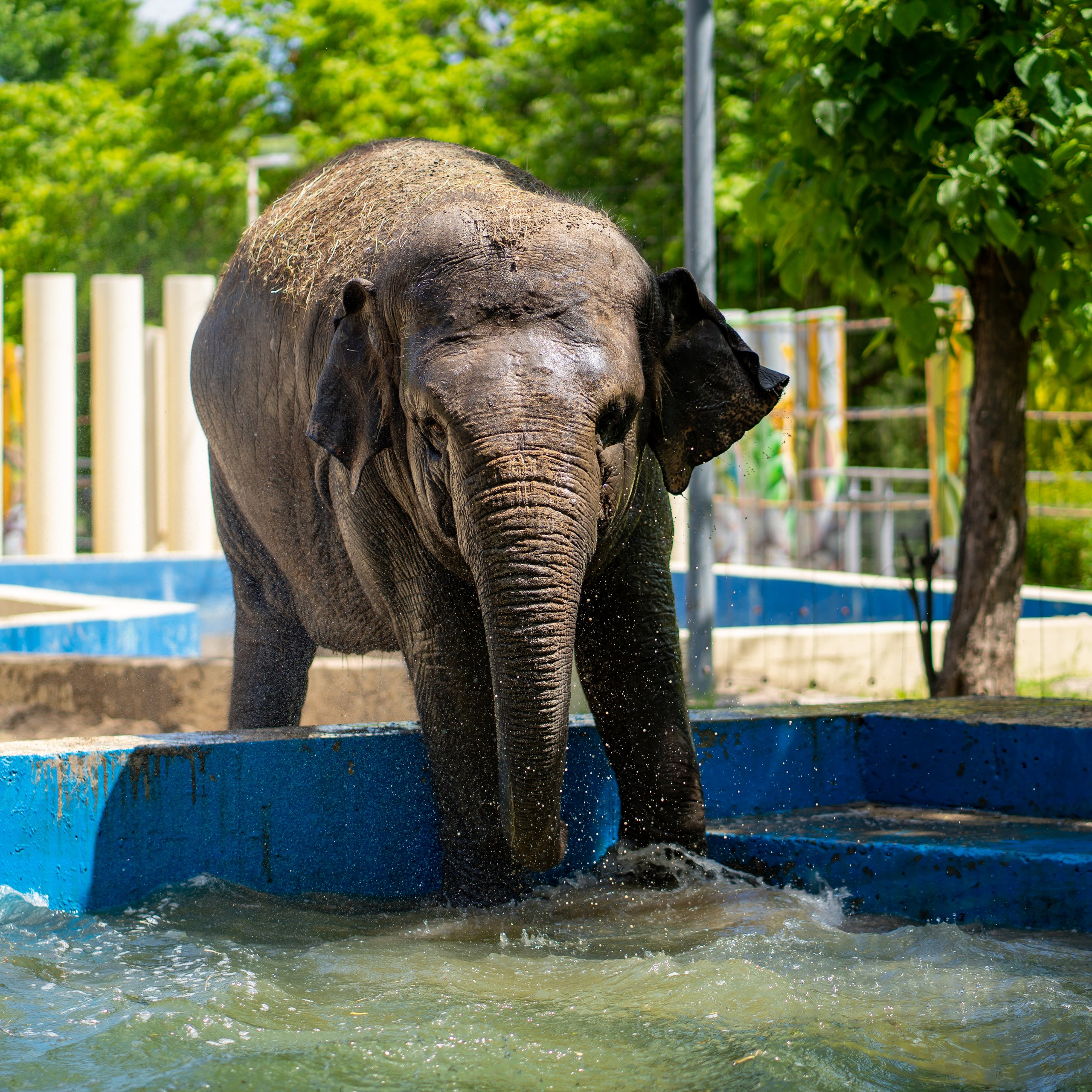 Фото Ростова-на-Дону скачать бесплатно | Красивые виды города, достопримечательности, фасады заведений. Свадебный и семейный фотограф в Ростове-на-Дону. Андрей Сайфутдинов