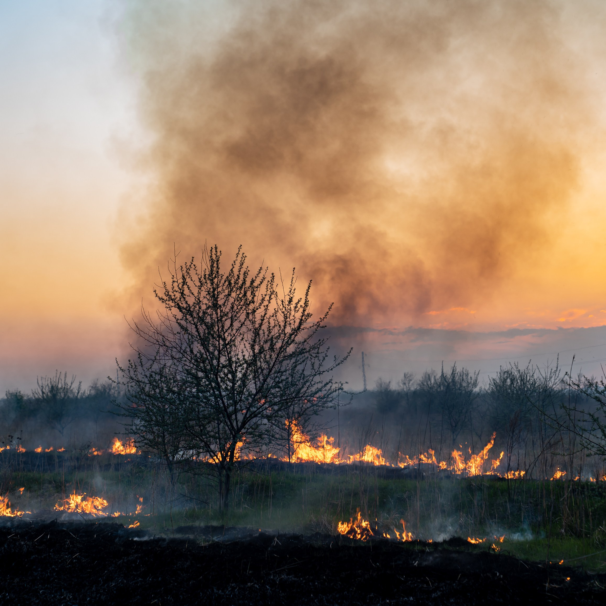 Фото Ростова-на-Дону скачать бесплатно | Красивые виды города, достопримечательности, фасады заведений. Свадебный и семейный фотограф в Ростове-на-Дону. Андрей Сайфутдинов