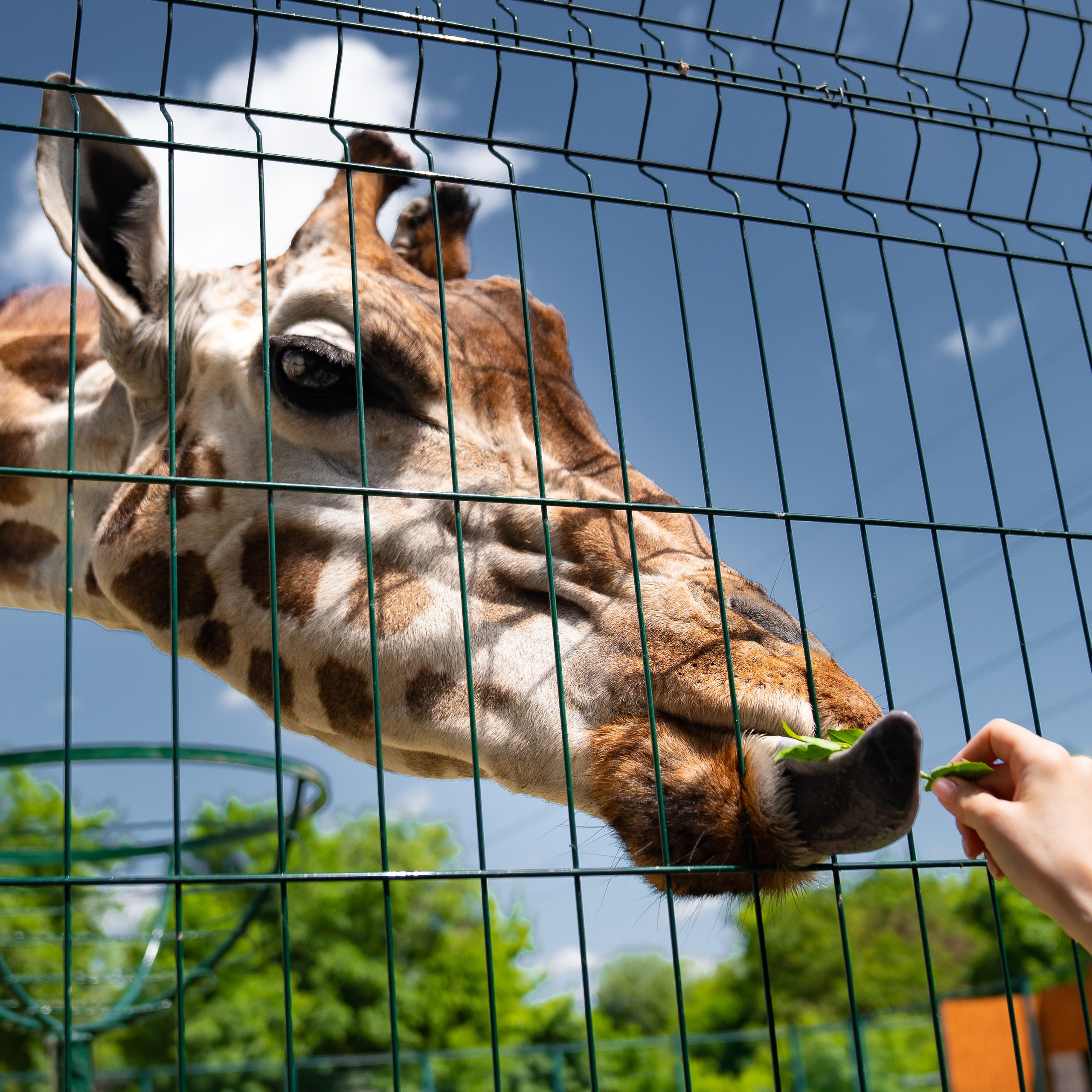 Фото Ростова-на-Дону скачать бесплатно | Красивые виды города, достопримечательности, фасады заведений. Свадебный и семейный фотограф в Ростове-на-Дону. Андрей Сайфутдинов