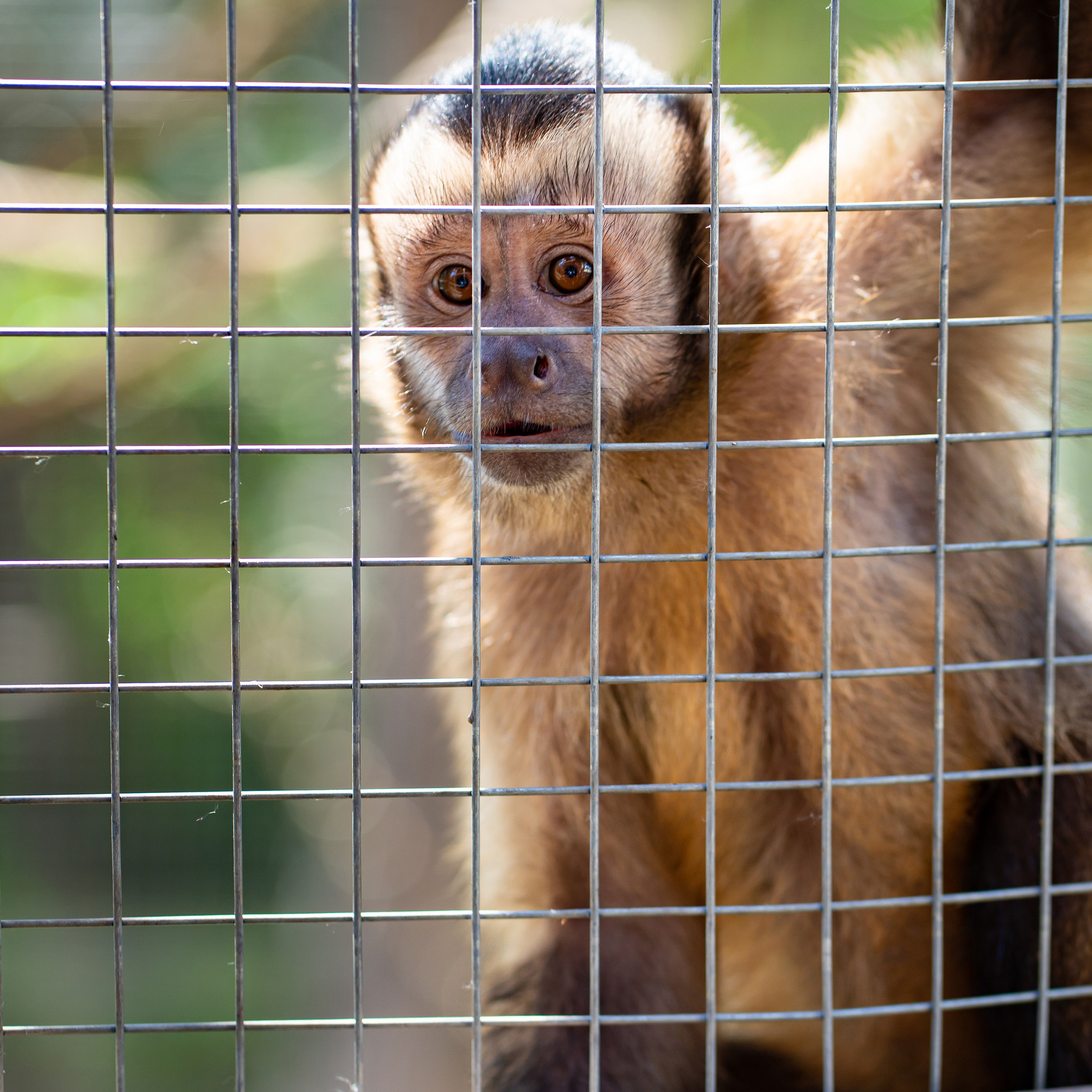 Фото Ростова-на-Дону скачать бесплатно | Красивые виды города, достопримечательности, фасады заведений. Свадебный и семейный фотограф в Ростове-на-Дону. Андрей Сайфутдинов
