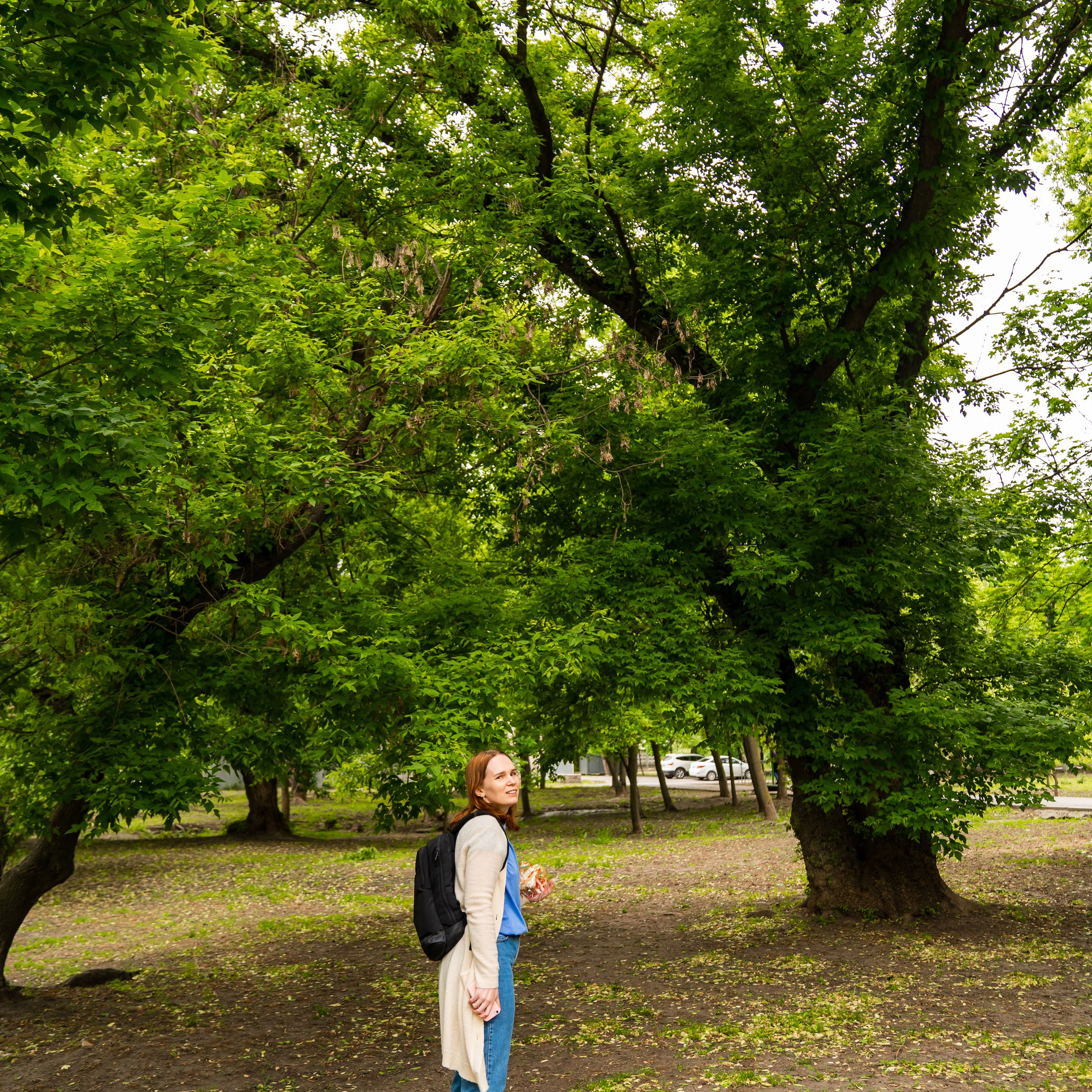 Фото Ростова-на-Дону скачать бесплатно | Красивые виды города, достопримечательности, фасады заведений. Свадебный и семейный фотограф в Ростове-на-Дону. Андрей Сайфутдинов