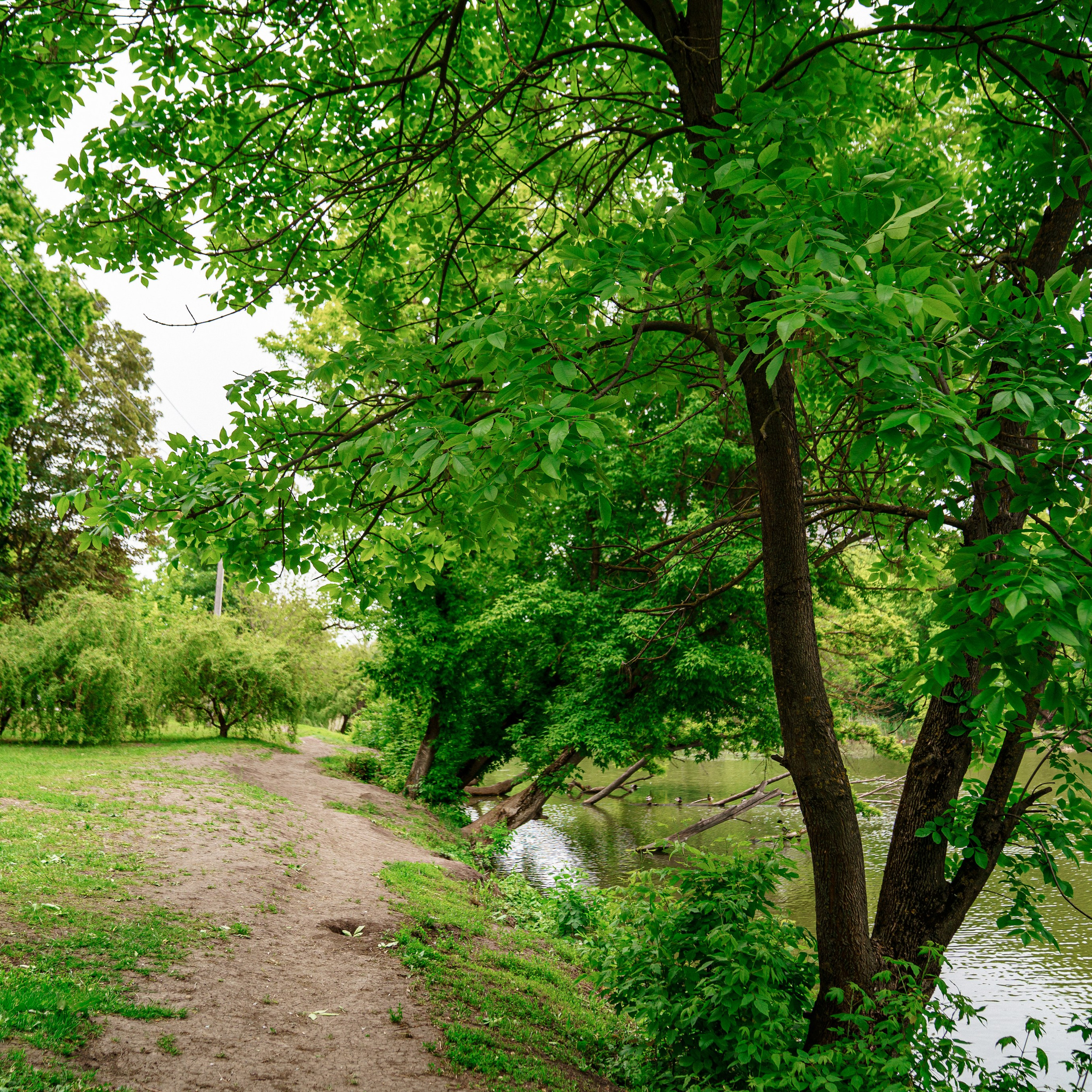 Фото Ростова-на-Дону скачать бесплатно | Красивые виды города, достопримечательности, фасады заведений. Свадебный и семейный фотограф в Ростове-на-Дону. Андрей Сайфутдинов