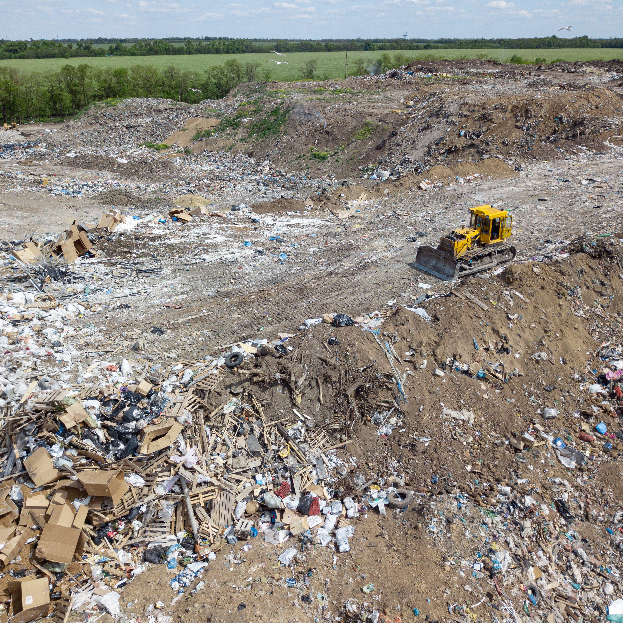 Фото Ростова-на-Дону скачать бесплатно | Красивые виды города, достопримечательности, фасады заведений. Свадебный и семейный фотограф в Ростове-на-Дону. Андрей Сайфутдинов