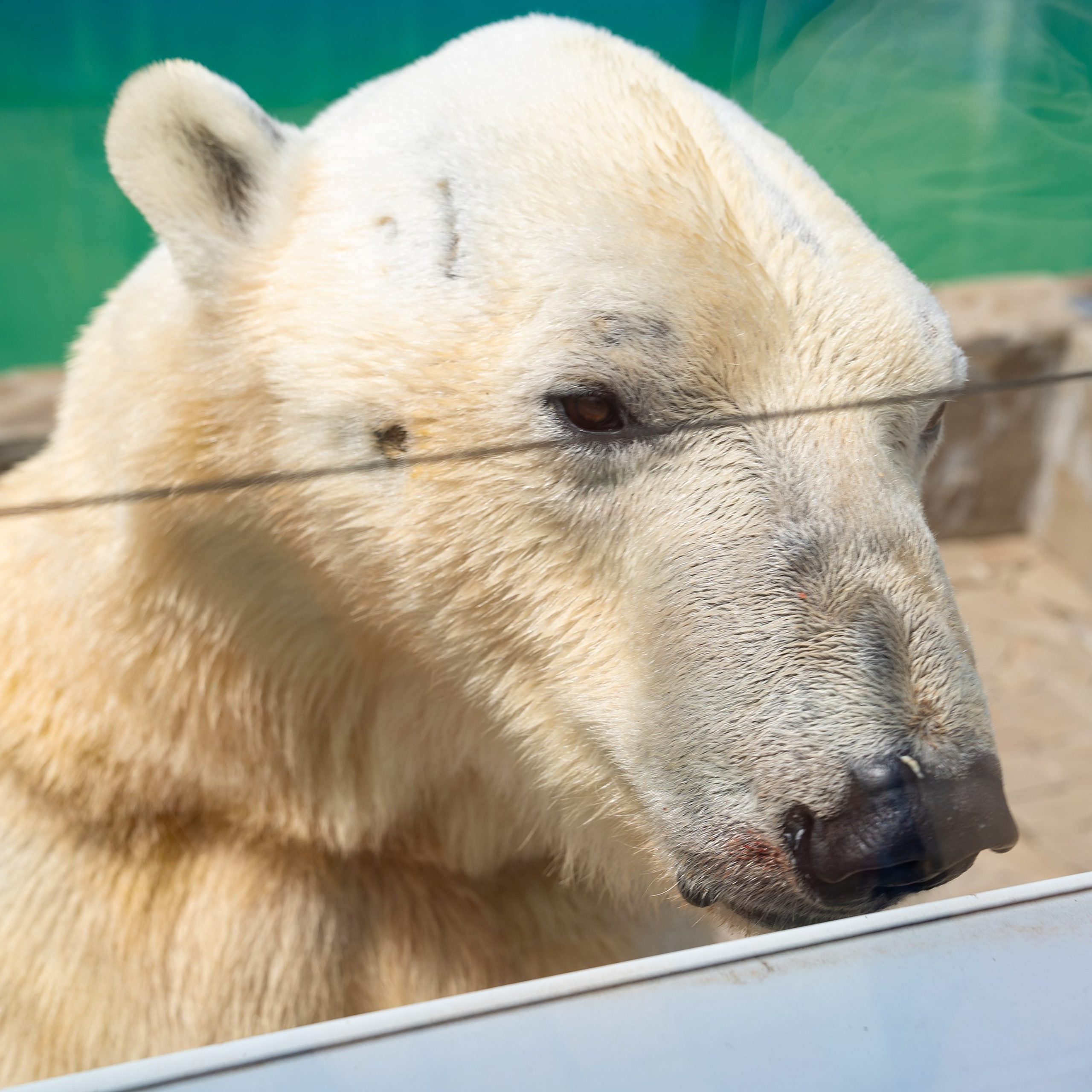 Фото Ростова-на-Дону скачать бесплатно | Красивые виды города, достопримечательности, фасады заведений. Свадебный и семейный фотограф в Ростове-на-Дону. Андрей Сайфутдинов