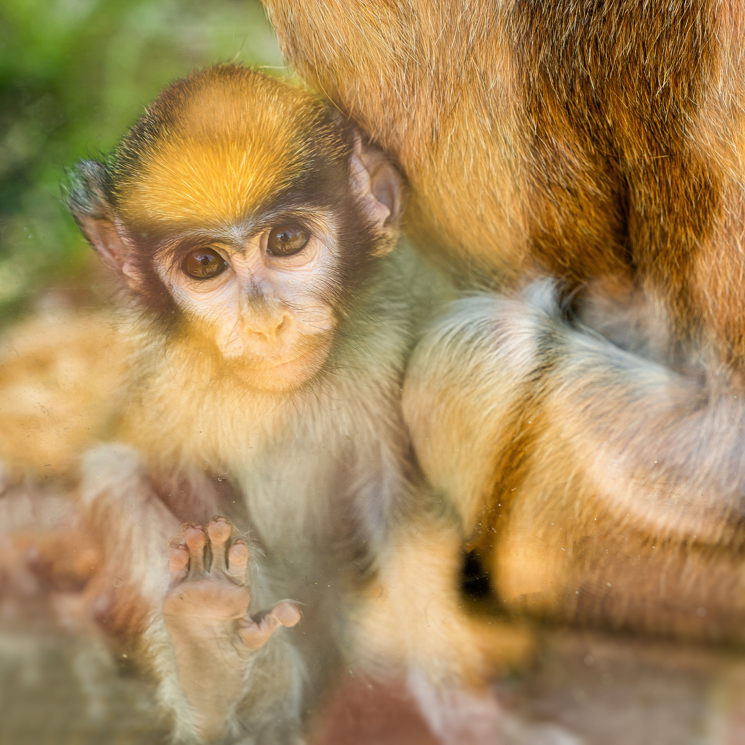 Фото Ростова-на-Дону скачать бесплатно | Красивые виды города, достопримечательности, фасады заведений. Свадебный и семейный фотограф в Ростове-на-Дону. Андрей Сайфутдинов