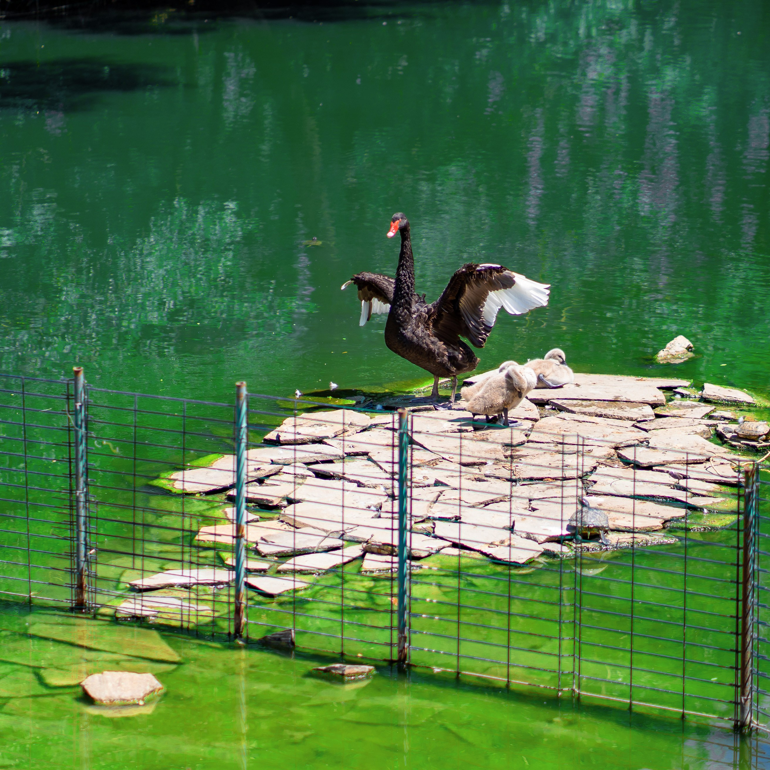Фото Ростова-на-Дону скачать бесплатно | Красивые виды города, достопримечательности, фасады заведений. Свадебный и семейный фотограф в Ростове-на-Дону. Андрей Сайфутдинов