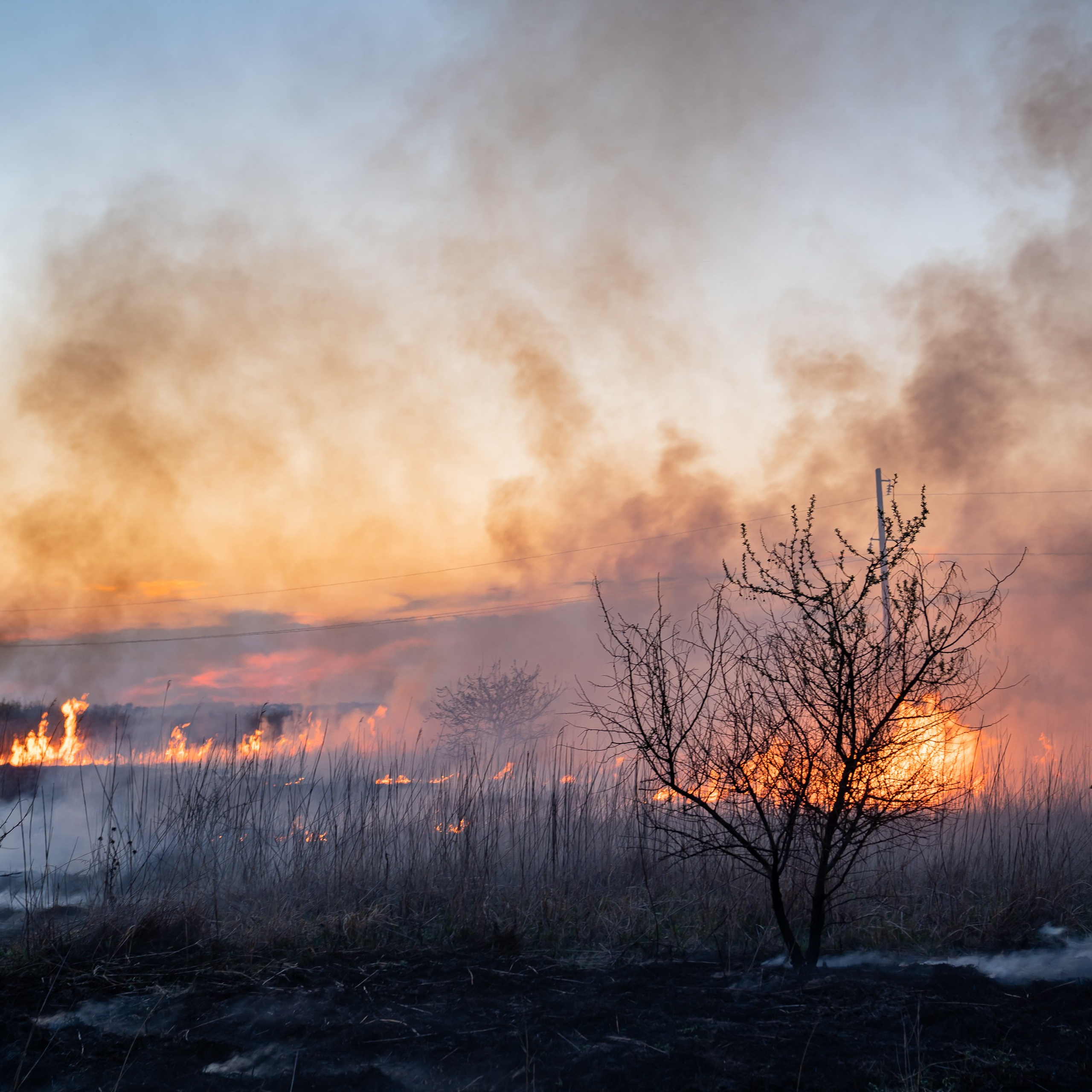 Фото Ростова-на-Дону скачать бесплатно | Красивые виды города, достопримечательности, фасады заведений. Свадебный и семейный фотограф в Ростове-на-Дону. Андрей Сайфутдинов