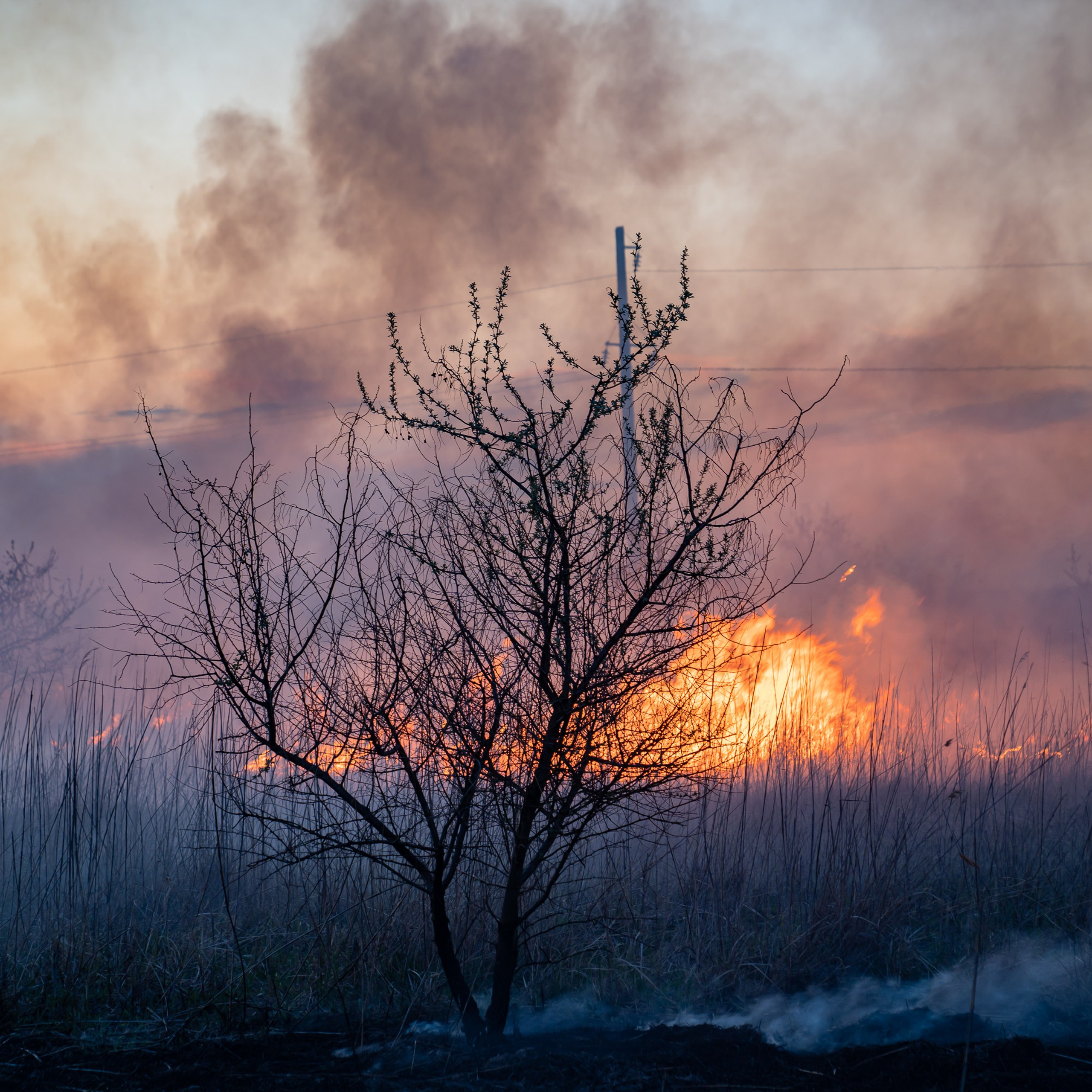 Фото Ростова-на-Дону скачать бесплатно | Красивые виды города, достопримечательности, фасады заведений. Свадебный и семейный фотограф в Ростове-на-Дону. Андрей Сайфутдинов