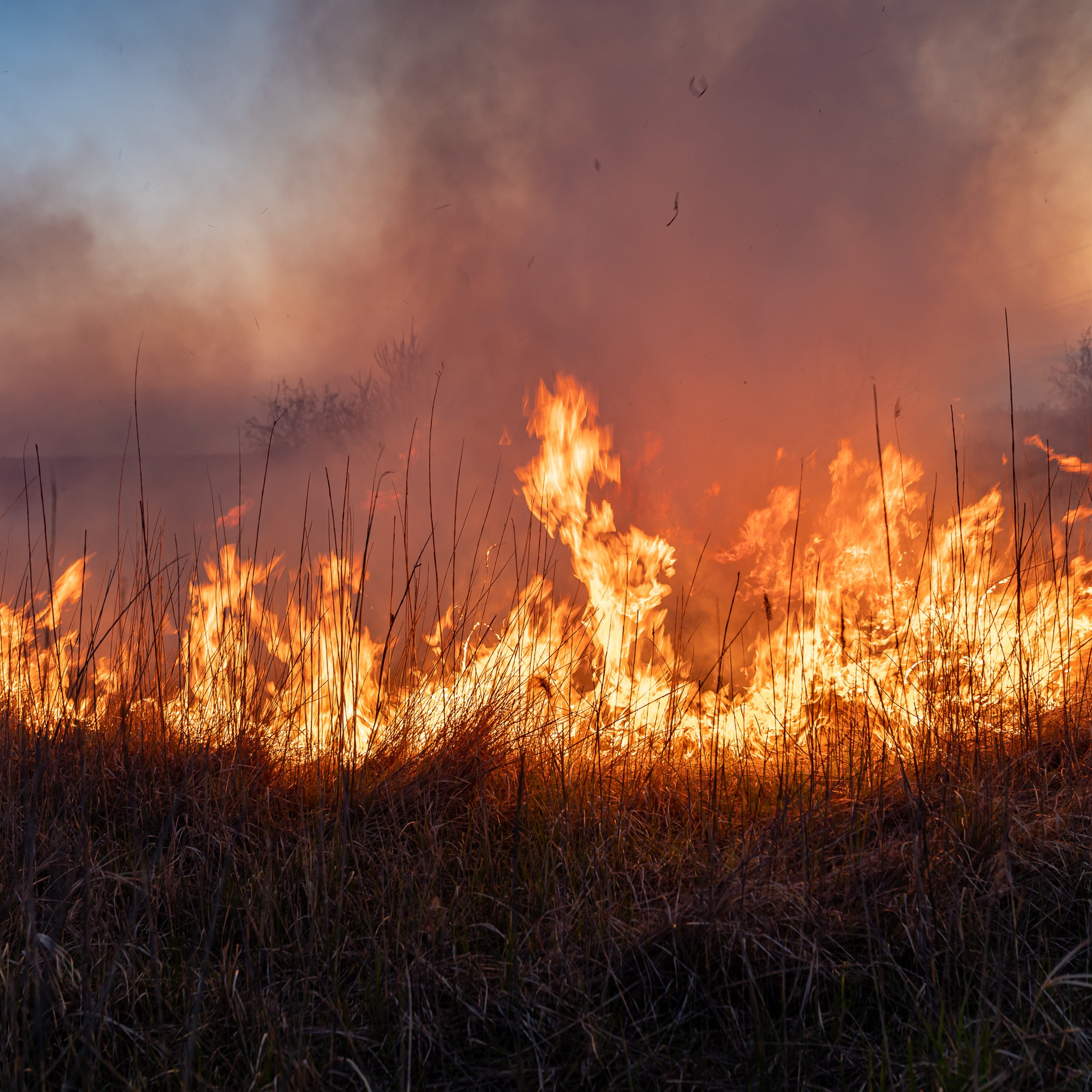 Фото Ростова-на-Дону скачать бесплатно | Красивые виды города, достопримечательности, фасады заведений. Свадебный и семейный фотограф в Ростове-на-Дону. Андрей Сайфутдинов