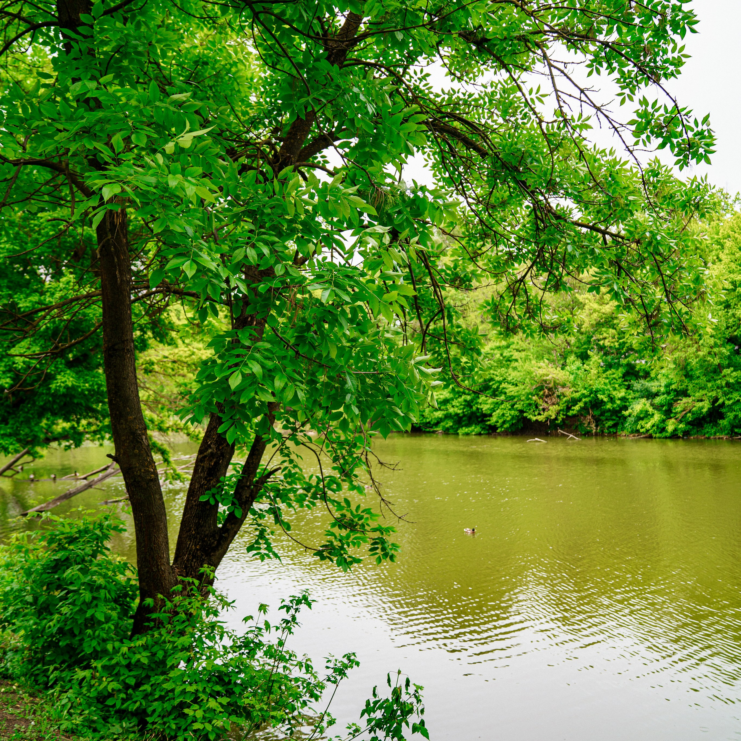 Фото Ростова-на-Дону скачать бесплатно | Красивые виды города, достопримечательности, фасады заведений. Свадебный и семейный фотограф в Ростове-на-Дону. Андрей Сайфутдинов