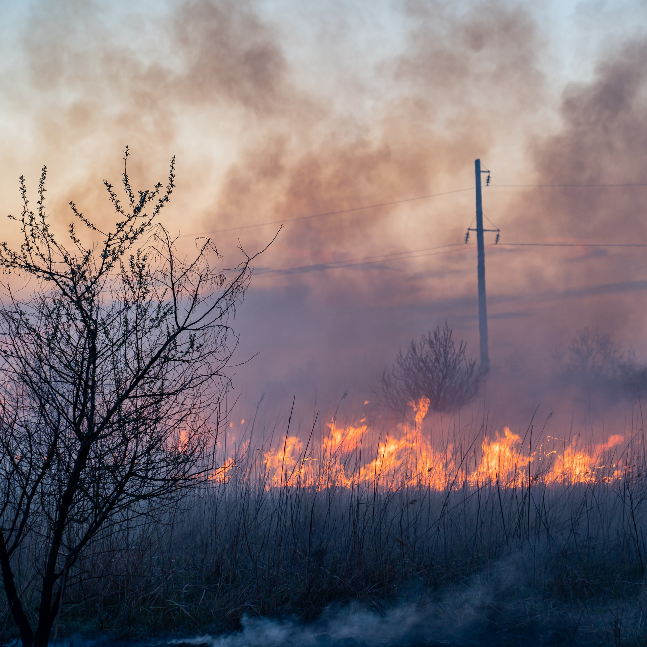 Фото Ростова-на-Дону скачать бесплатно | Красивые виды города, достопримечательности, фасады заведений. Свадебный и семейный фотограф в Ростове-на-Дону. Андрей Сайфутдинов