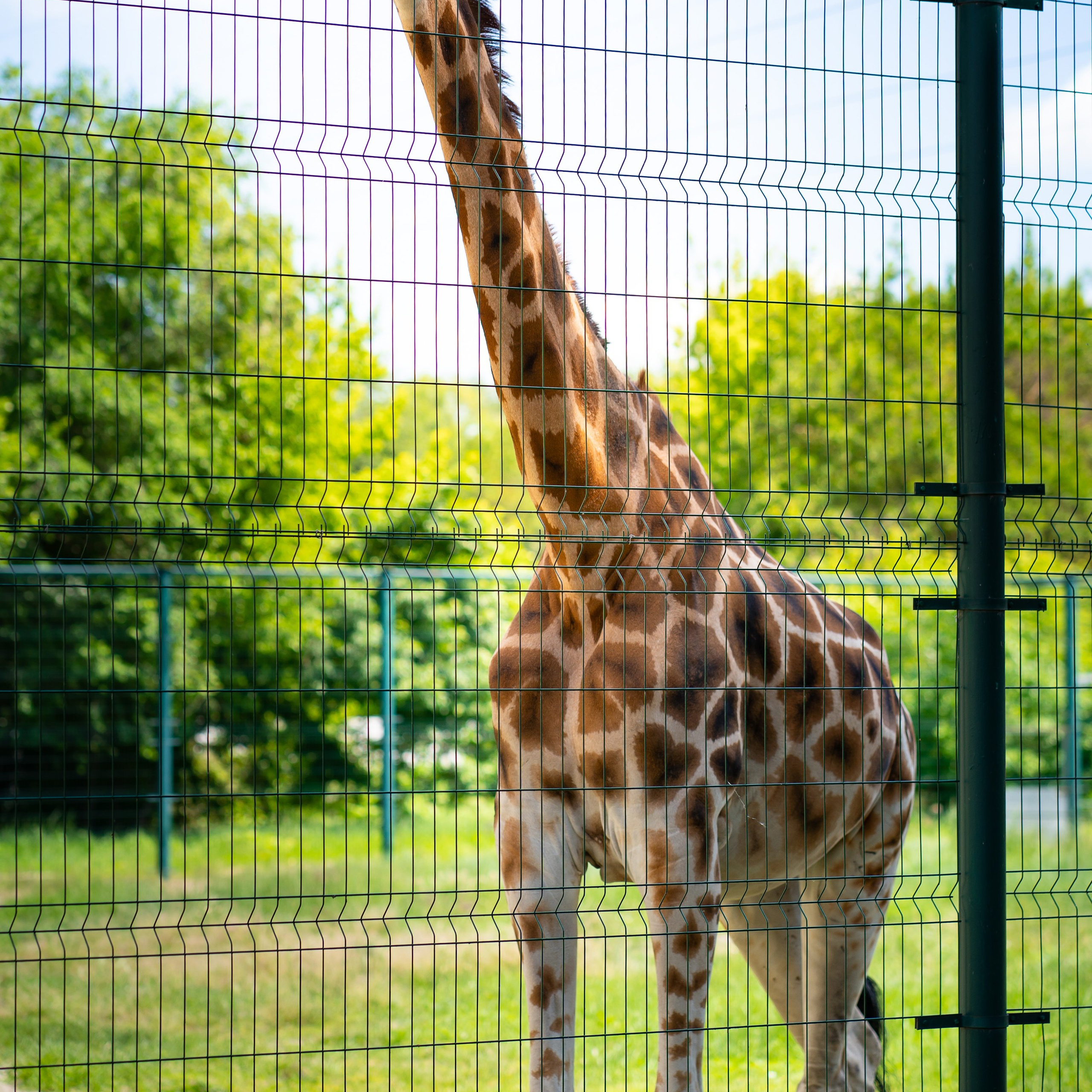 Фото Ростова-на-Дону скачать бесплатно | Красивые виды города, достопримечательности, фасады заведений. Свадебный и семейный фотограф в Ростове-на-Дону. Андрей Сайфутдинов