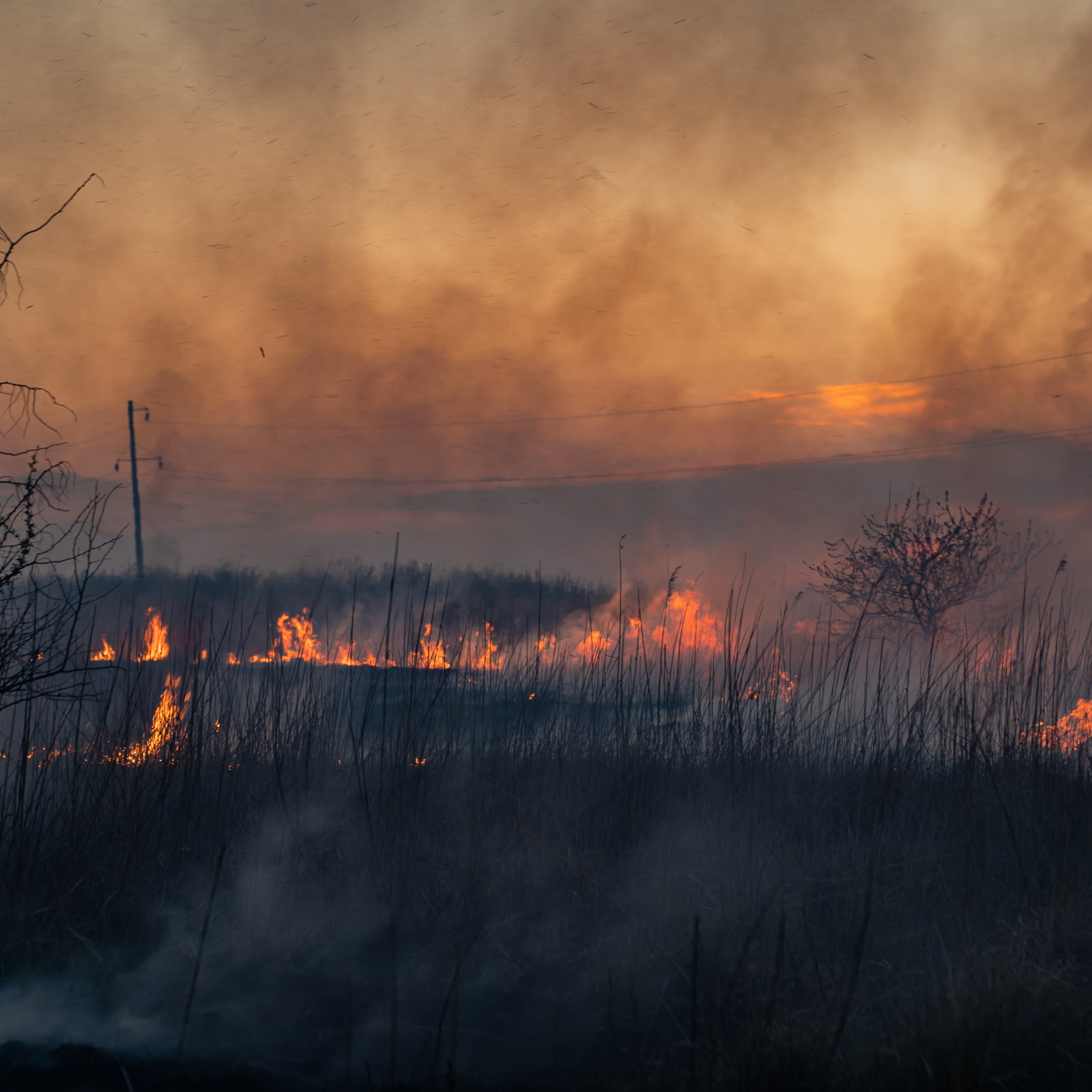 Фото Ростова-на-Дону скачать бесплатно | Красивые виды города, достопримечательности, фасады заведений. Свадебный и семейный фотограф в Ростове-на-Дону. Андрей Сайфутдинов