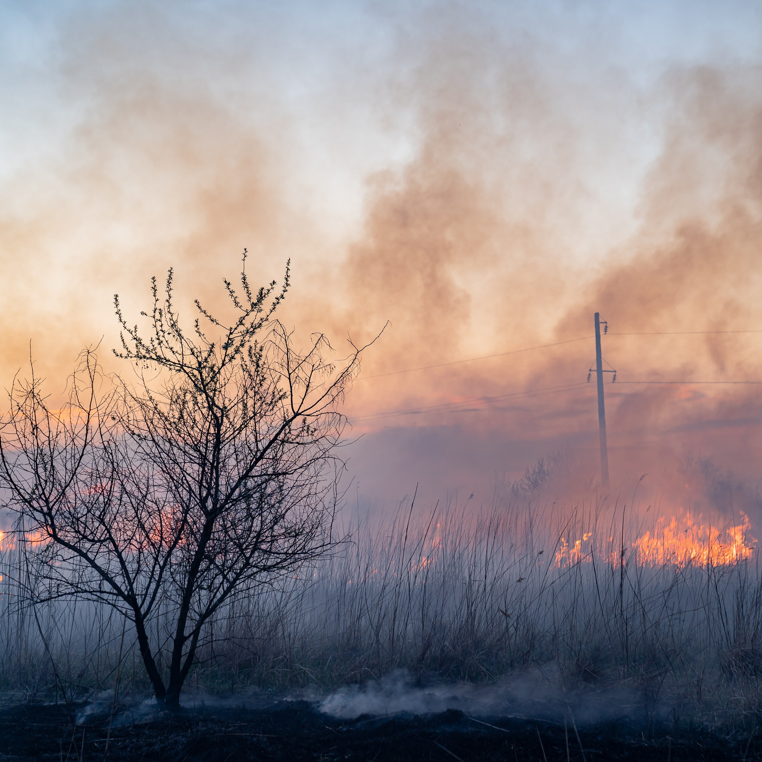 Фото Ростова-на-Дону скачать бесплатно | Красивые виды города, достопримечательности, фасады заведений. Свадебный и семейный фотограф в Ростове-на-Дону. Андрей Сайфутдинов