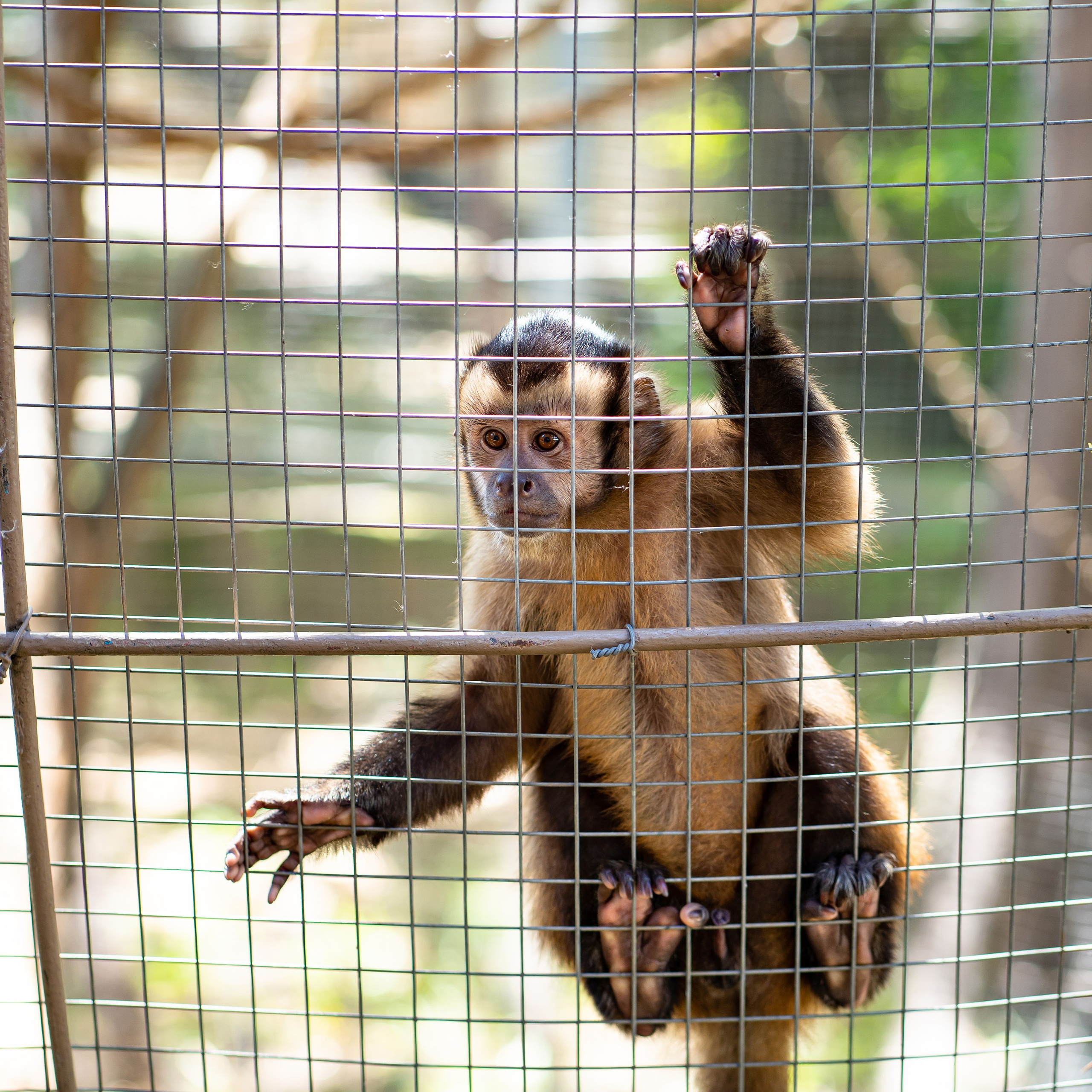 Фото Ростова-на-Дону скачать бесплатно | Красивые виды города, достопримечательности, фасады заведений. Свадебный и семейный фотограф в Ростове-на-Дону. Андрей Сайфутдинов