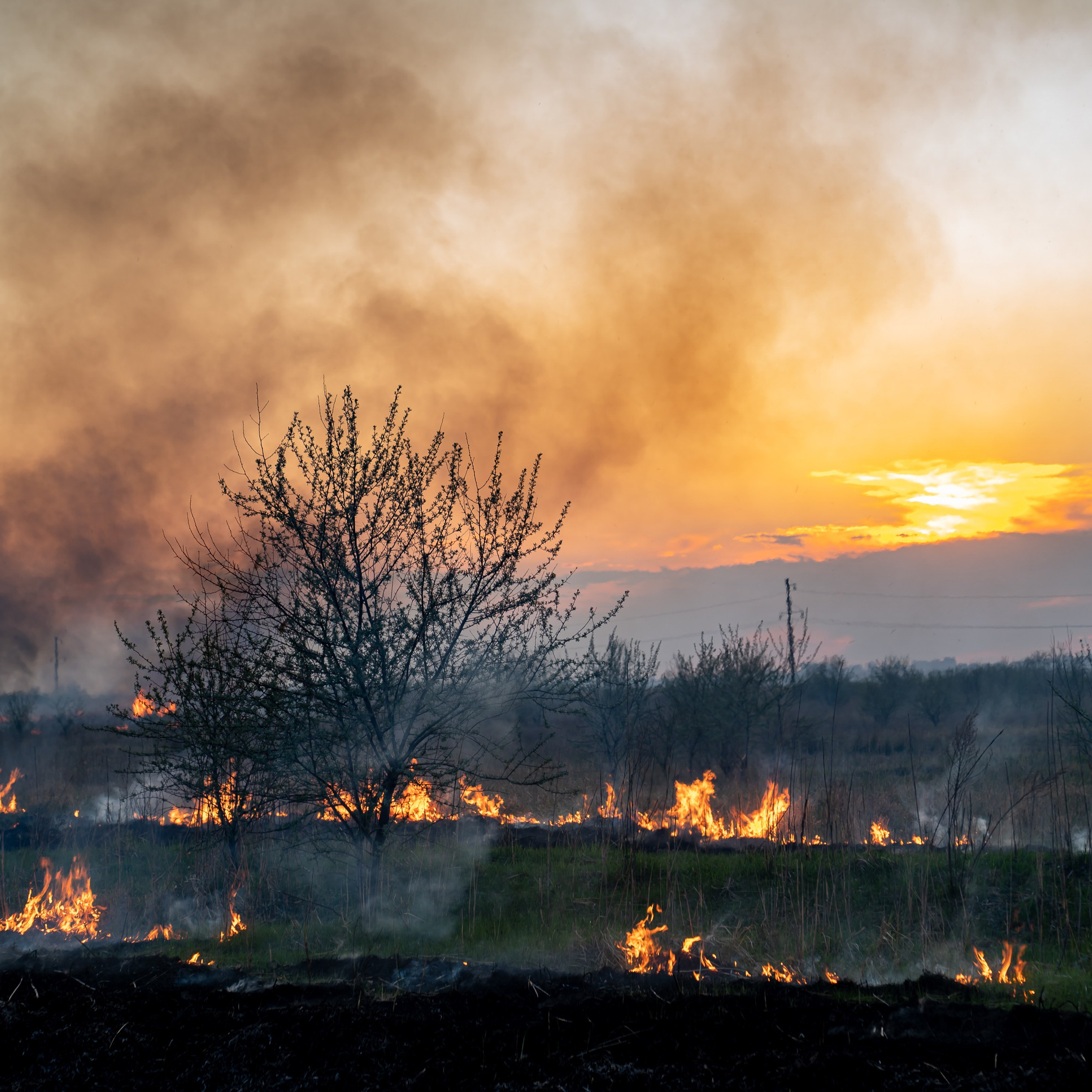 Фото Ростова-на-Дону скачать бесплатно | Красивые виды города, достопримечательности, фасады заведений. Свадебный и семейный фотограф в Ростове-на-Дону. Андрей Сайфутдинов