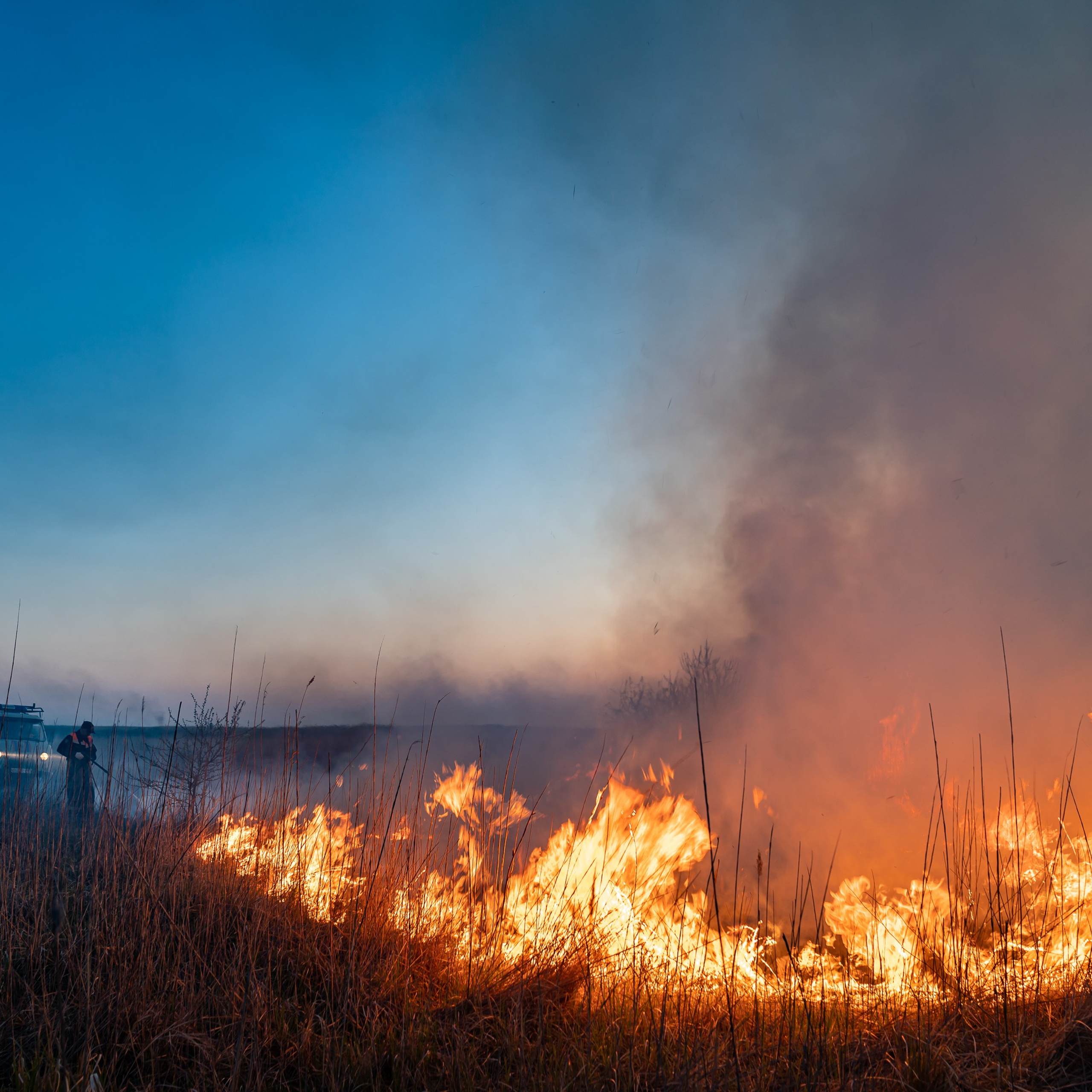 Фото Ростова-на-Дону скачать бесплатно | Красивые виды города, достопримечательности, фасады заведений. Свадебный и семейный фотограф в Ростове-на-Дону. Андрей Сайфутдинов