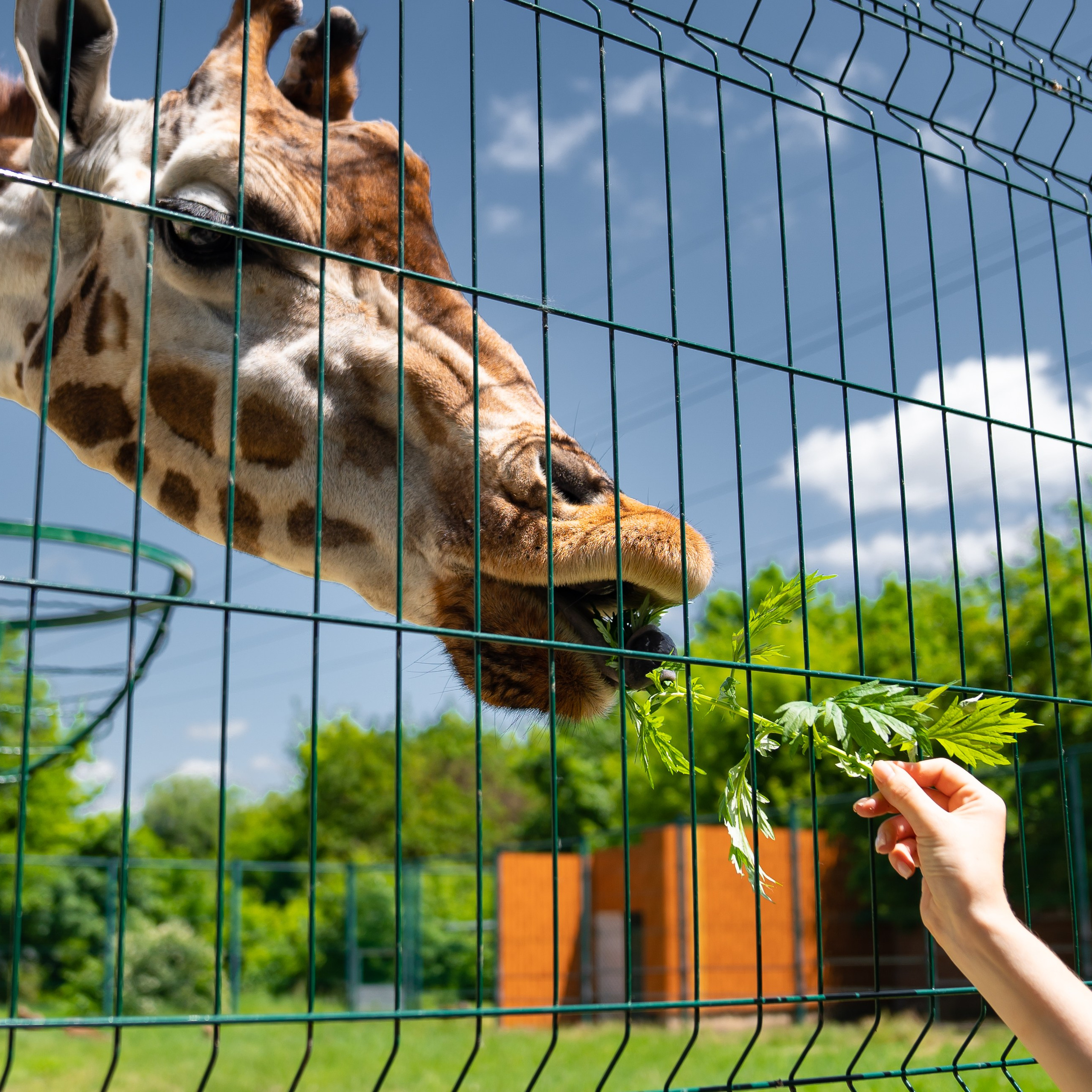 Фото Ростова-на-Дону скачать бесплатно | Красивые виды города, достопримечательности, фасады заведений. Свадебный и семейный фотограф в Ростове-на-Дону. Андрей Сайфутдинов