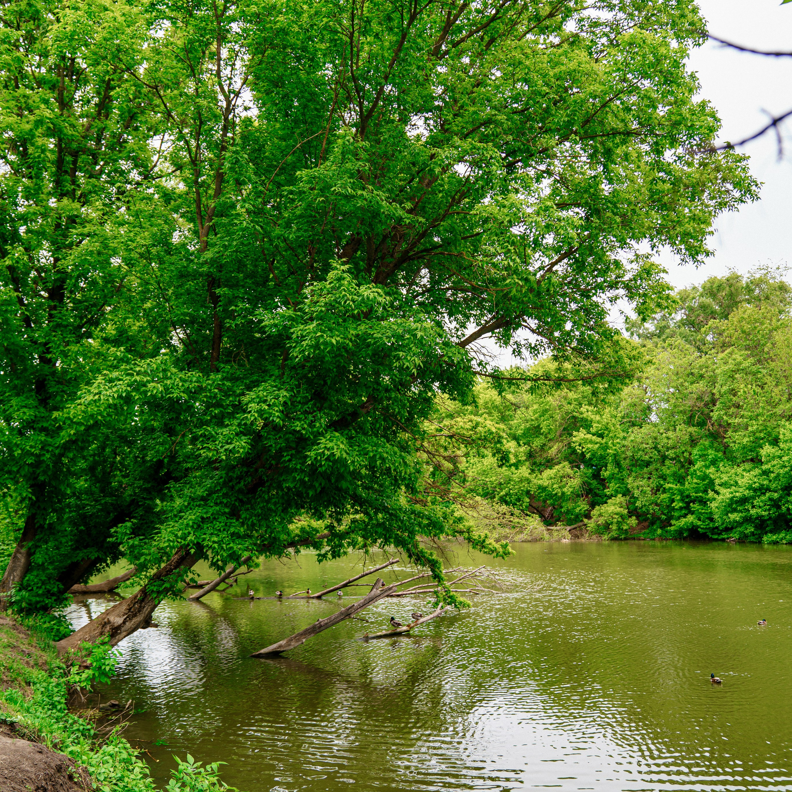 Фото Ростова-на-Дону скачать бесплатно | Красивые виды города, достопримечательности, фасады заведений. Свадебный и семейный фотограф в Ростове-на-Дону. Андрей Сайфутдинов