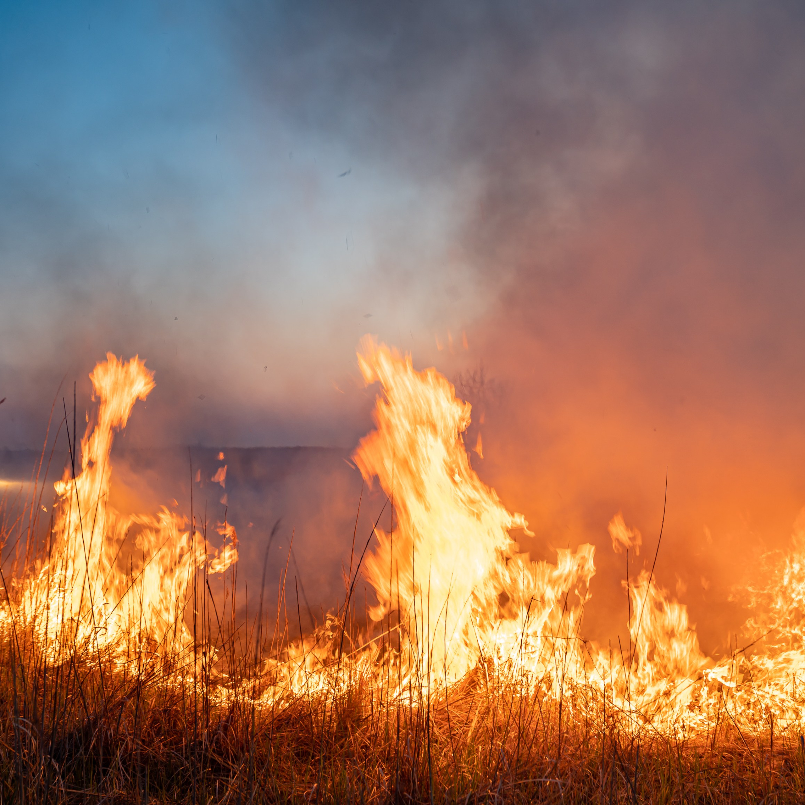 Фото Ростова-на-Дону скачать бесплатно | Красивые виды города, достопримечательности, фасады заведений. Свадебный и семейный фотограф в Ростове-на-Дону. Андрей Сайфутдинов