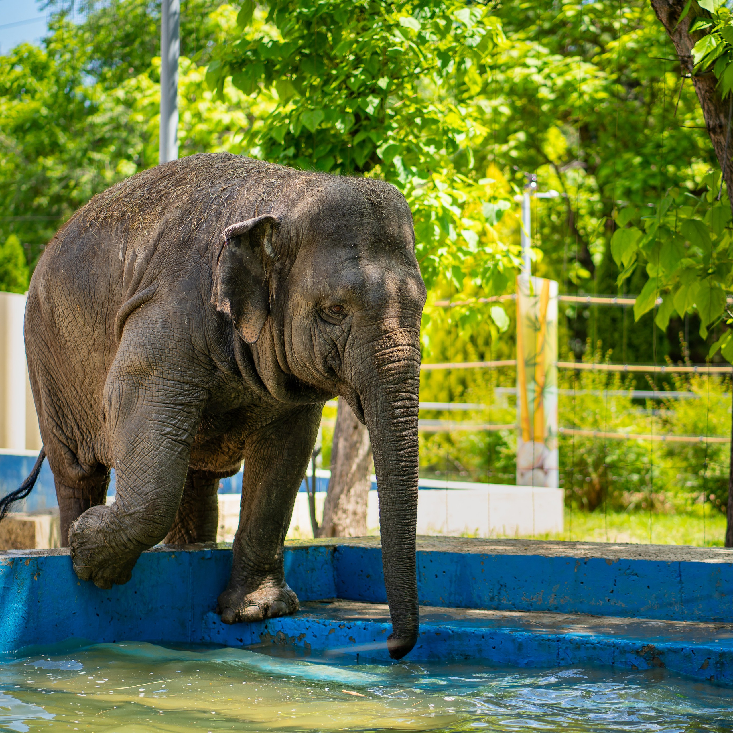 Фото Ростова-на-Дону скачать бесплатно | Красивые виды города, достопримечательности, фасады заведений. Свадебный и семейный фотограф в Ростове-на-Дону. Андрей Сайфутдинов