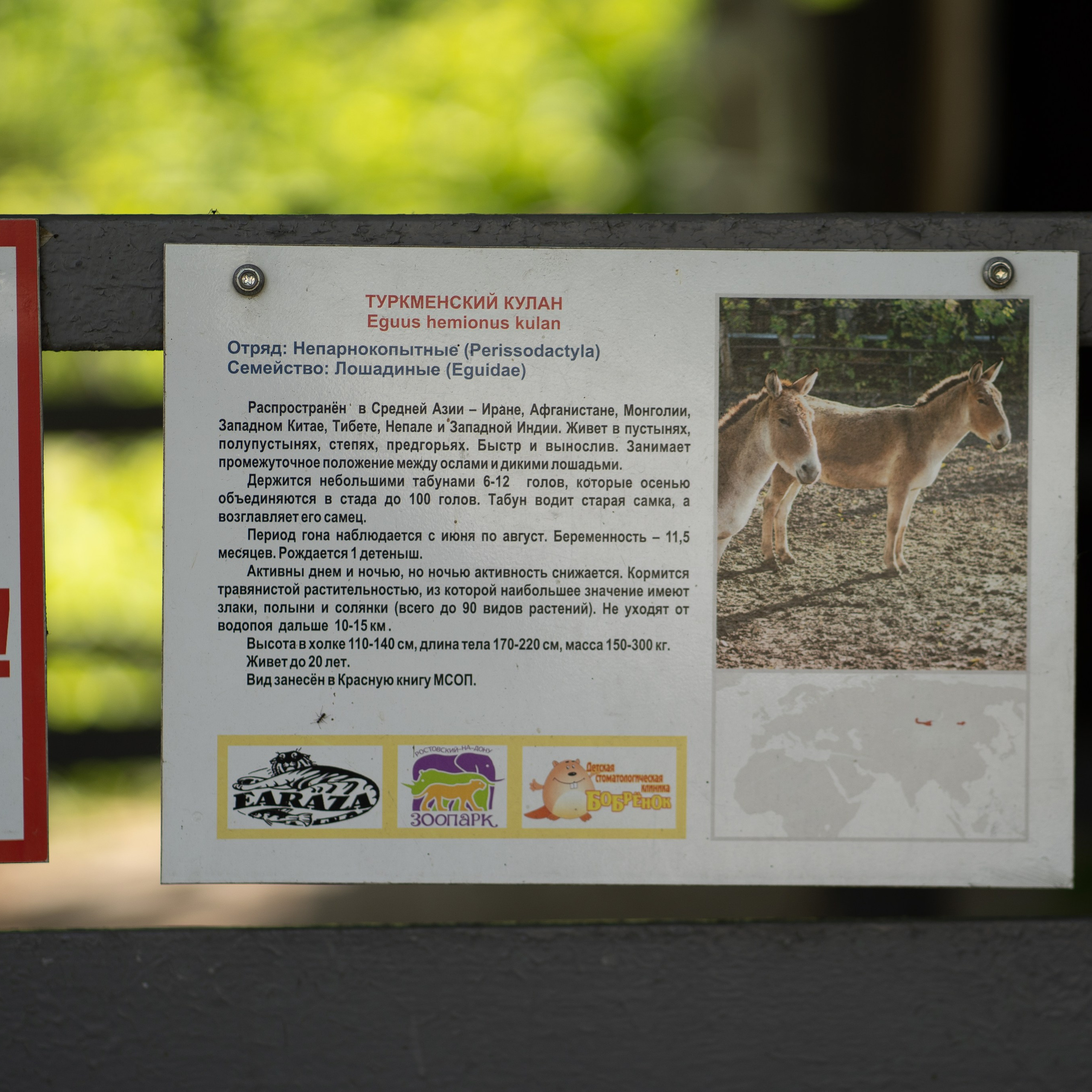 Фото Ростова-на-Дону скачать бесплатно | Красивые виды города, достопримечательности, фасады заведений. Свадебный и семейный фотограф в Ростове-на-Дону. Андрей Сайфутдинов