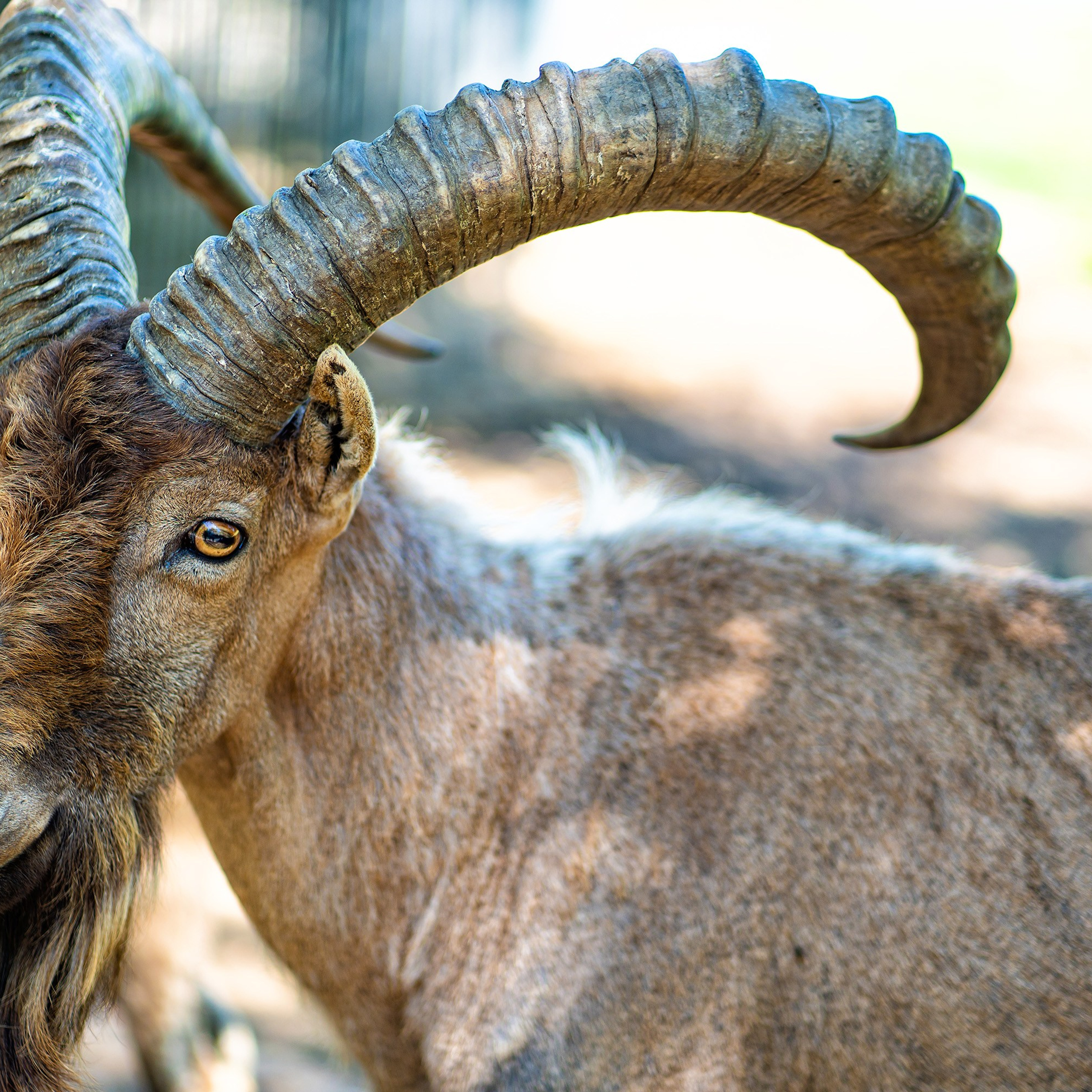Фото Ростова-на-Дону скачать бесплатно | Красивые виды города, достопримечательности, фасады заведений. Свадебный и семейный фотограф в Ростове-на-Дону. Андрей Сайфутдинов