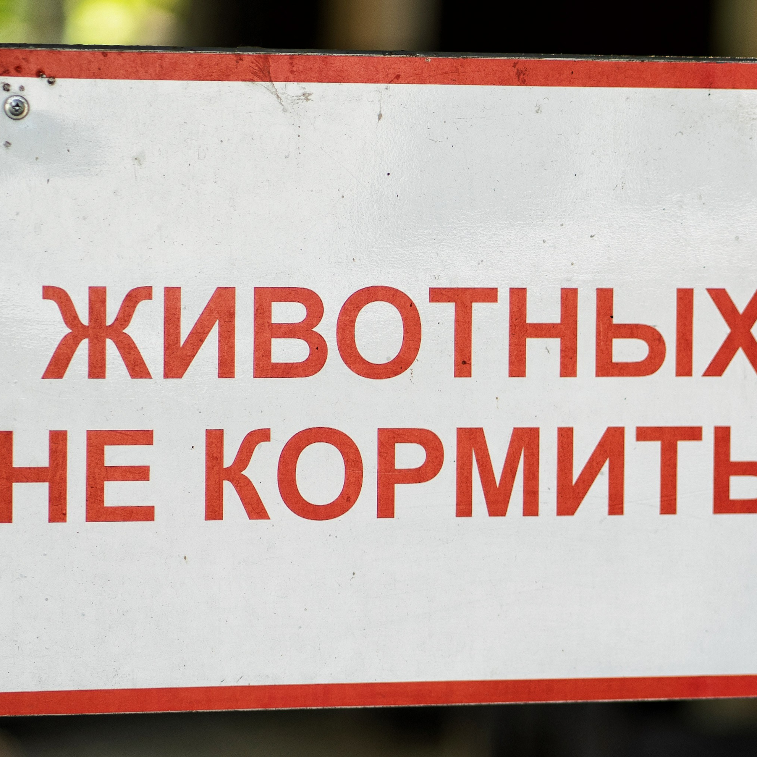 Фото Ростова-на-Дону скачать бесплатно | Красивые виды города, достопримечательности, фасады заведений. Свадебный и семейный фотограф в Ростове-на-Дону. Андрей Сайфутдинов