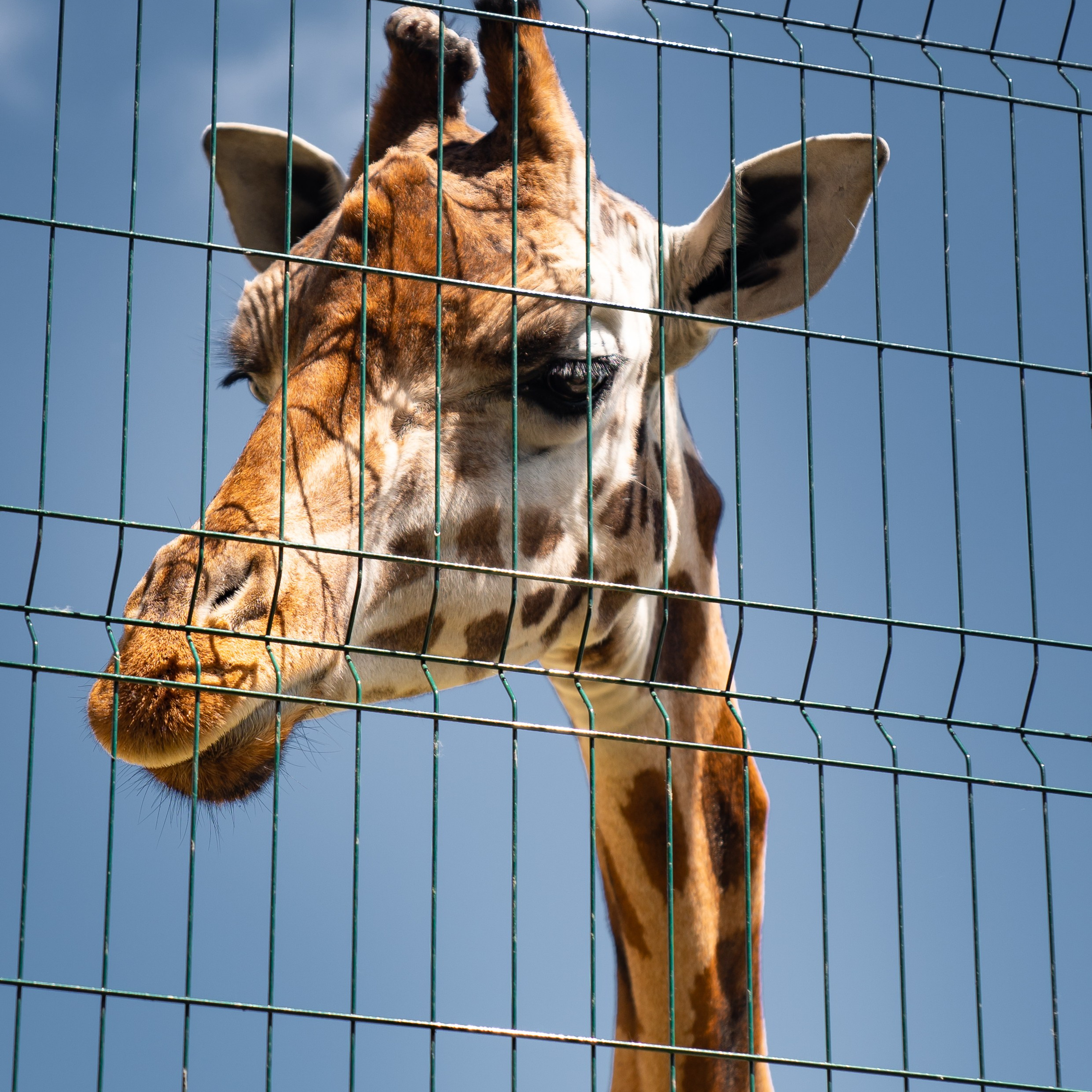 Фото Ростова-на-Дону скачать бесплатно | Красивые виды города, достопримечательности, фасады заведений. Свадебный и семейный фотограф в Ростове-на-Дону. Андрей Сайфутдинов