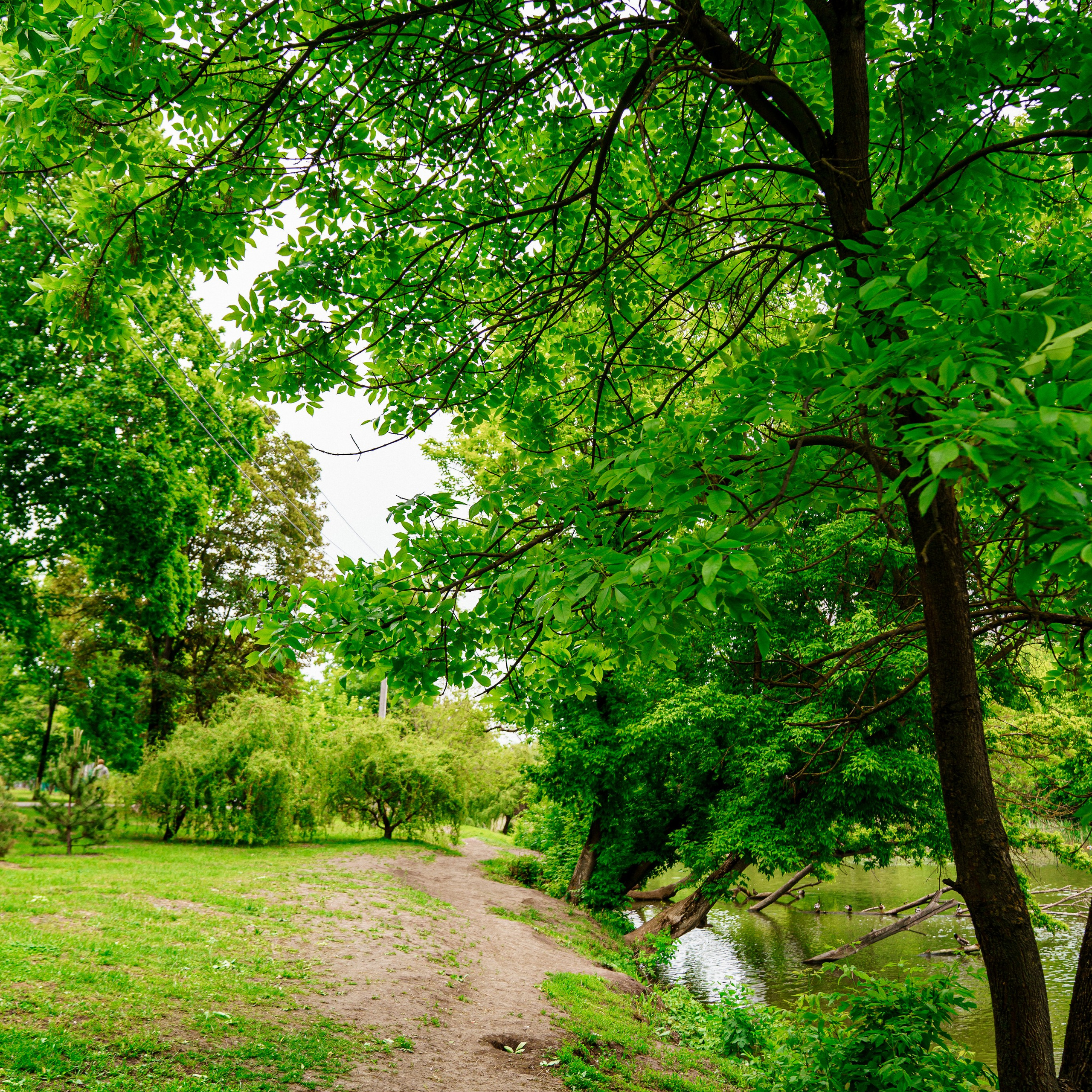 Фото Ростова-на-Дону скачать бесплатно | Красивые виды города, достопримечательности, фасады заведений. Свадебный и семейный фотограф в Ростове-на-Дону. Андрей Сайфутдинов