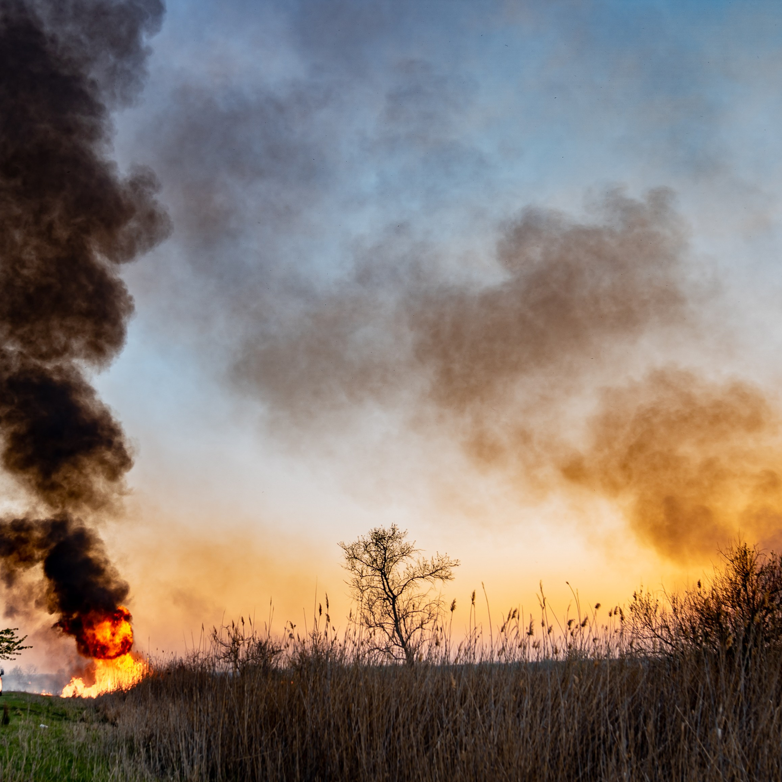 Фото Ростова-на-Дону скачать бесплатно | Красивые виды города, достопримечательности, фасады заведений. Свадебный и семейный фотограф в Ростове-на-Дону. Андрей Сайфутдинов