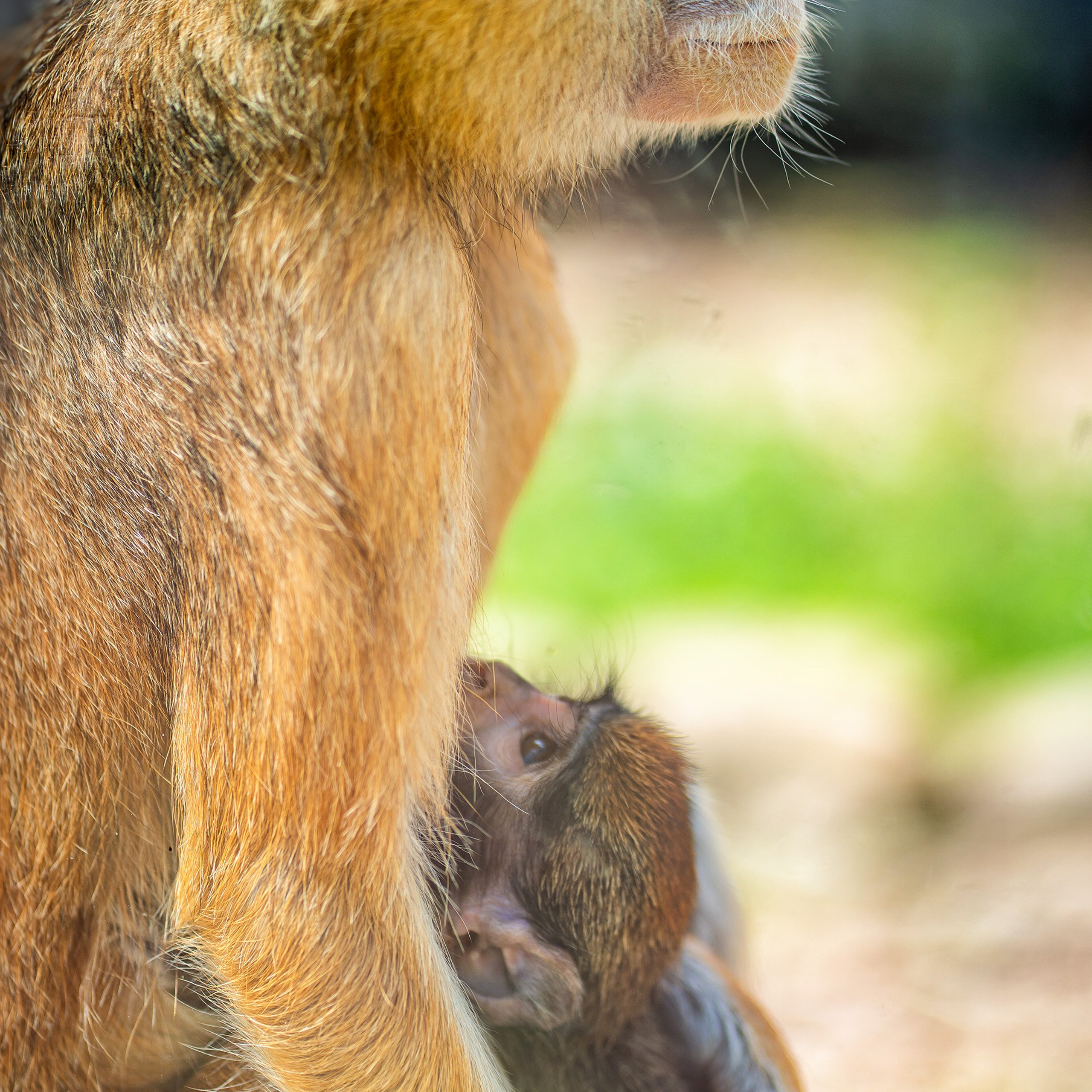 Фото Ростова-на-Дону скачать бесплатно | Красивые виды города, достопримечательности, фасады заведений. Свадебный и семейный фотограф в Ростове-на-Дону. Андрей Сайфутдинов