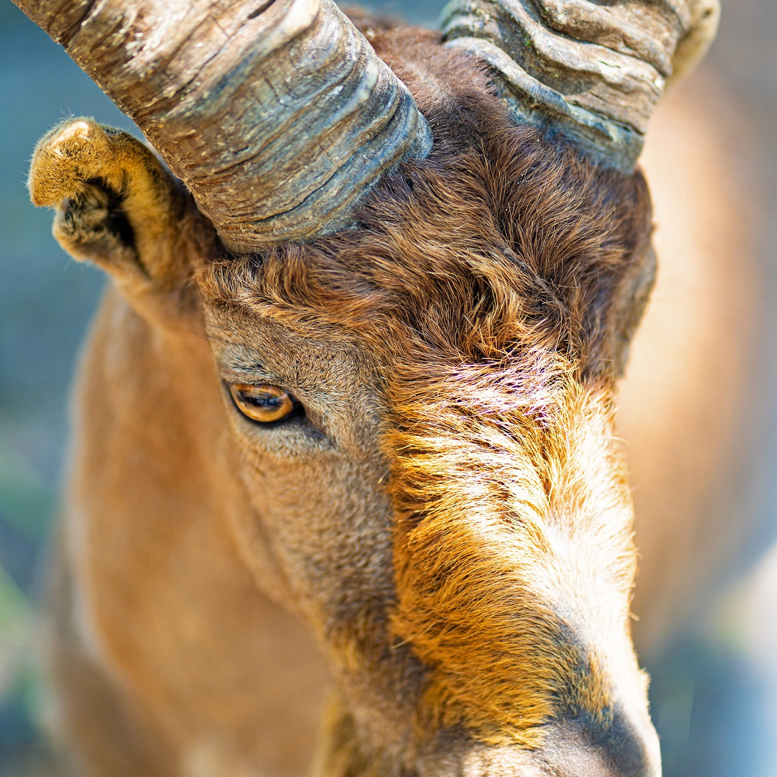 Фото Ростова-на-Дону скачать бесплатно | Красивые виды города, достопримечательности, фасады заведений. Свадебный и семейный фотограф в Ростове-на-Дону. Андрей Сайфутдинов