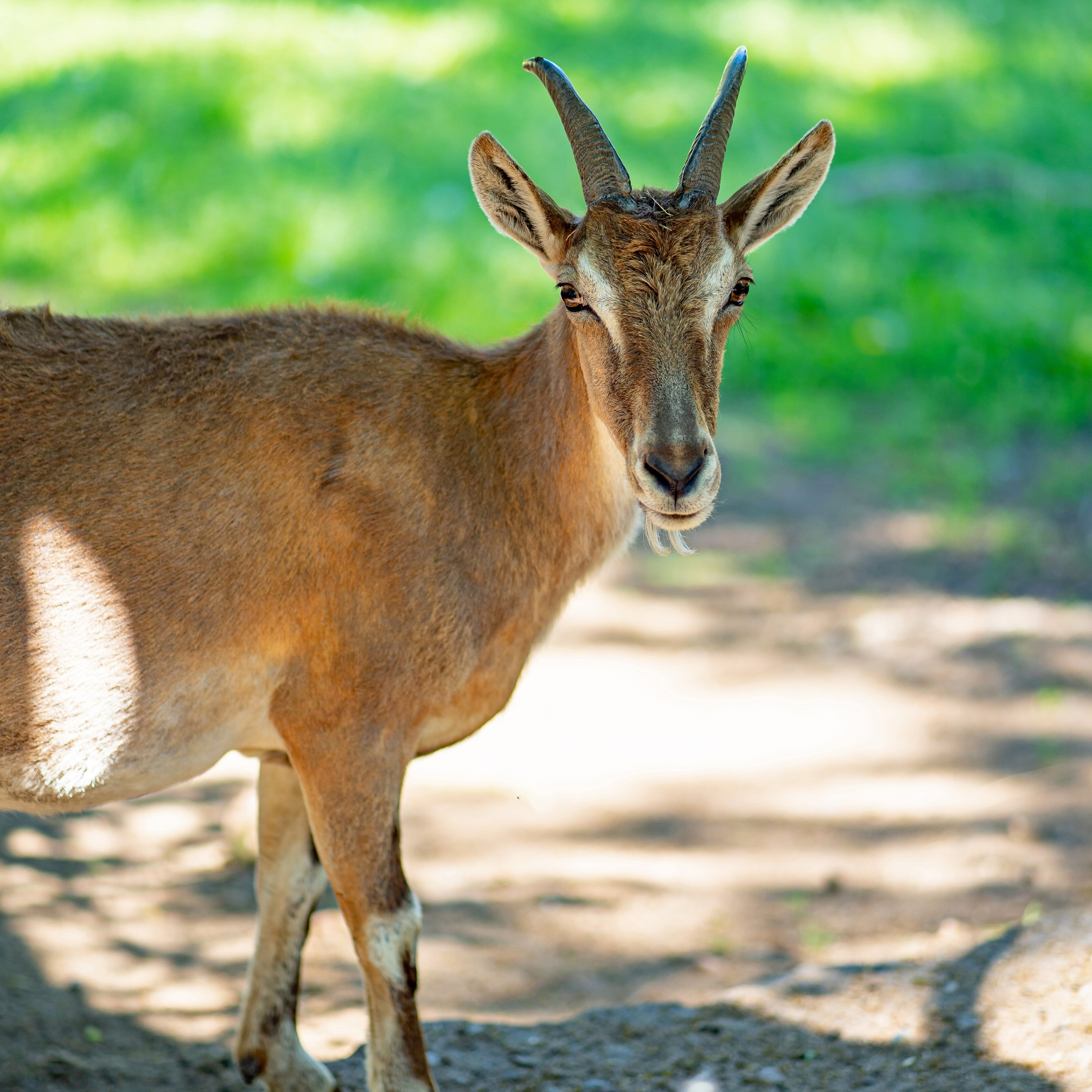 Фото Ростова-на-Дону скачать бесплатно | Красивые виды города, достопримечательности, фасады заведений. Свадебный и семейный фотограф в Ростове-на-Дону. Андрей Сайфутдинов