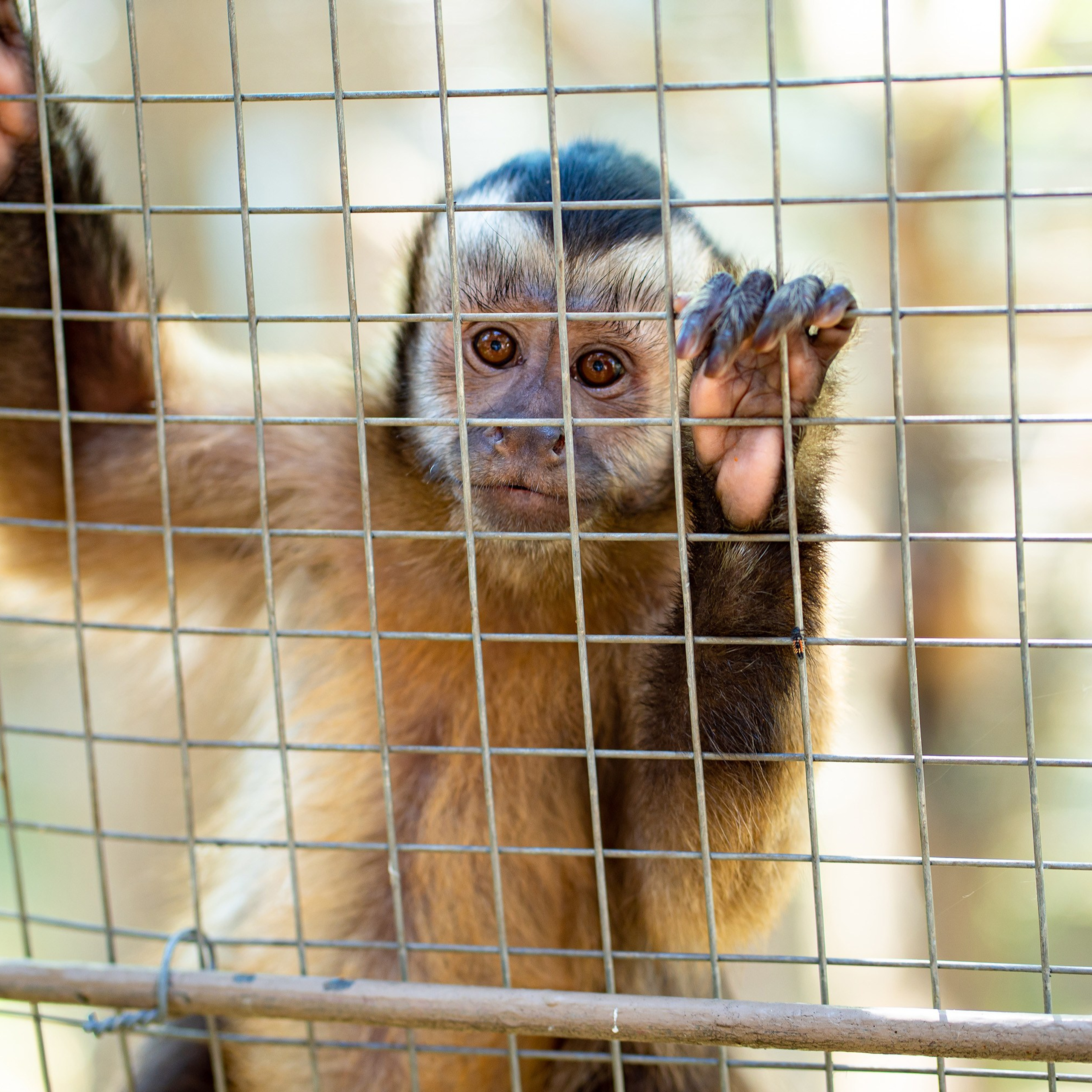 Фото Ростова-на-Дону скачать бесплатно | Красивые виды города, достопримечательности, фасады заведений. Свадебный и семейный фотограф в Ростове-на-Дону. Андрей Сайфутдинов