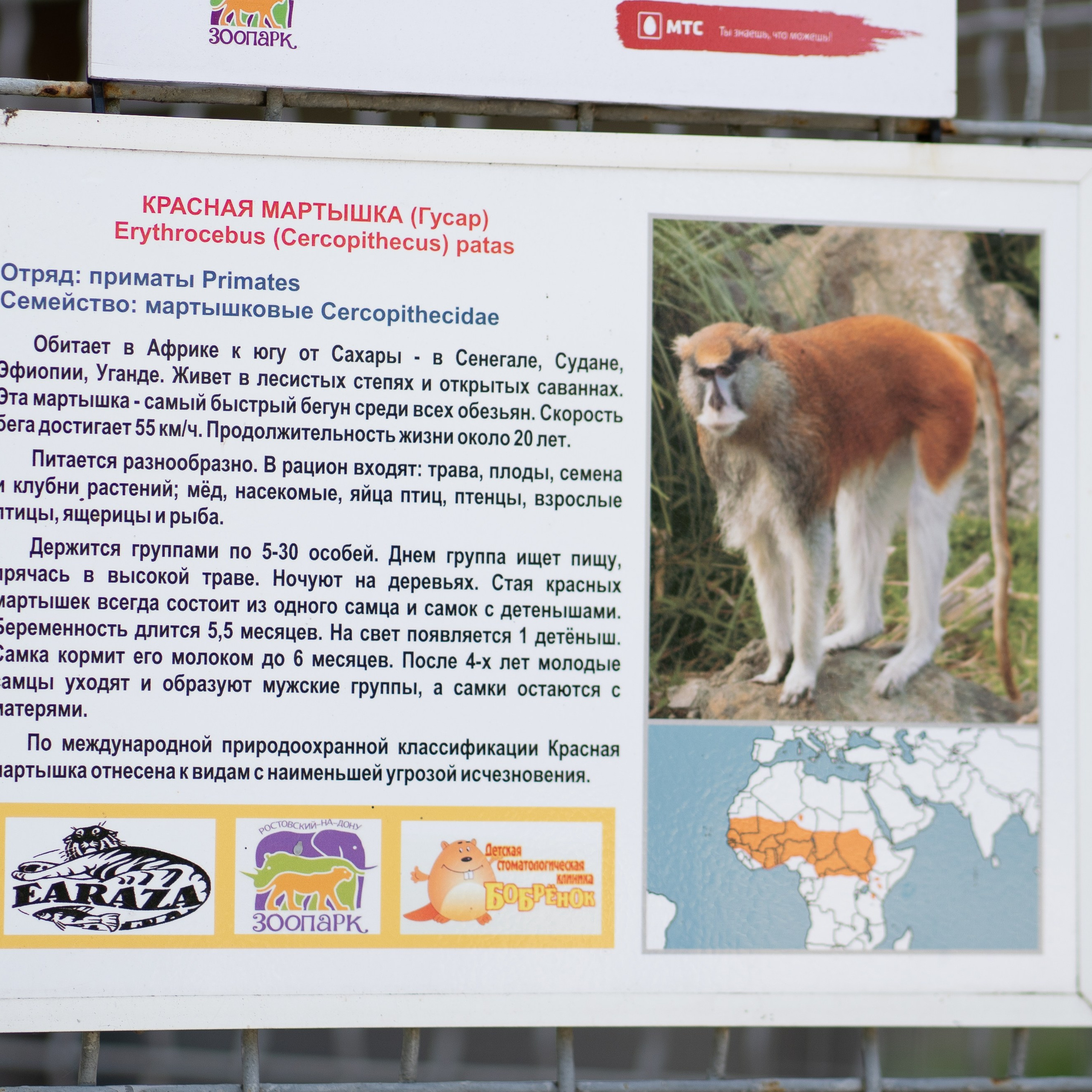 Фото Ростова-на-Дону скачать бесплатно | Красивые виды города, достопримечательности, фасады заведений. Свадебный и семейный фотограф в Ростове-на-Дону. Андрей Сайфутдинов