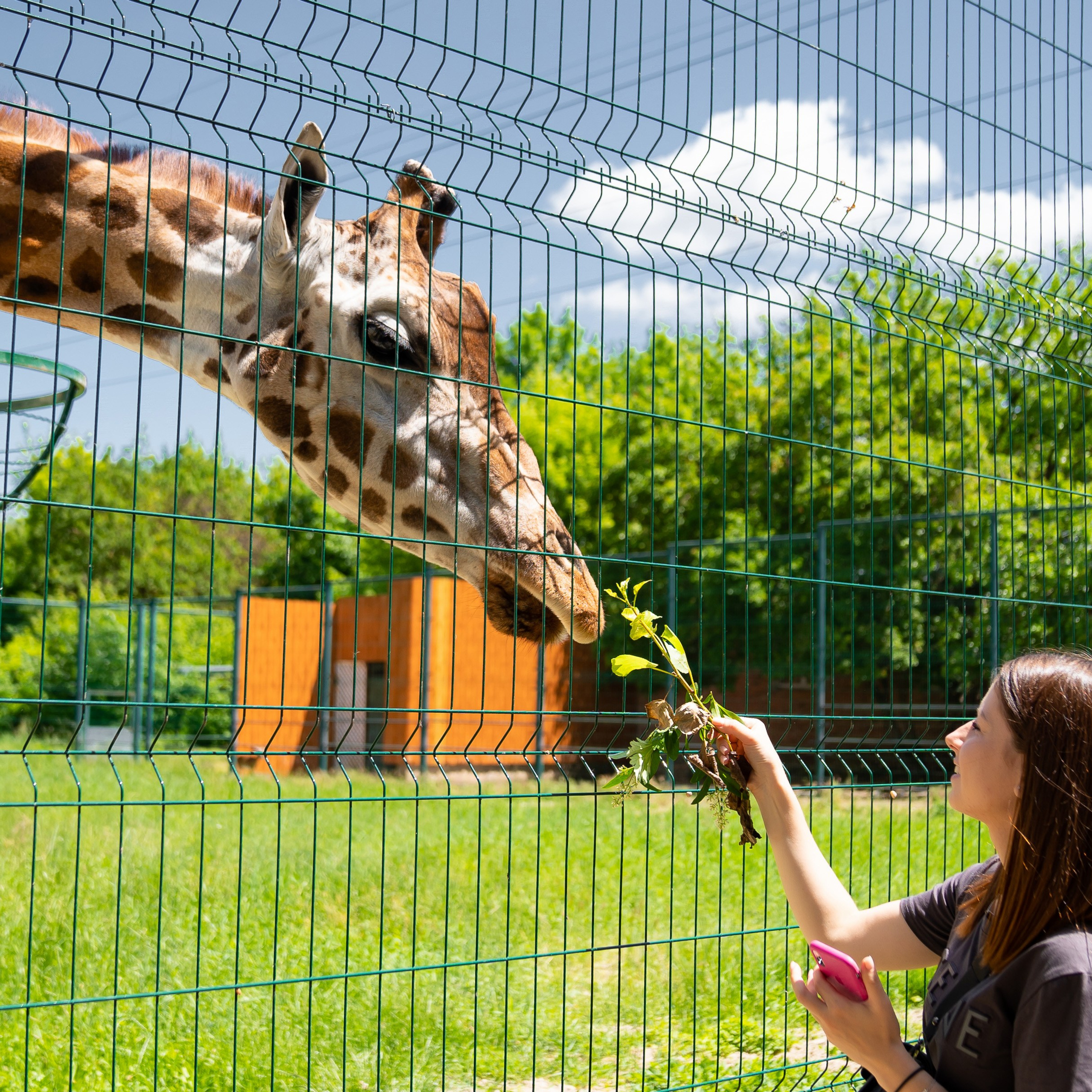 Фото Ростова-на-Дону скачать бесплатно | Красивые виды города, достопримечательности, фасады заведений. Свадебный и семейный фотограф в Ростове-на-Дону. Андрей Сайфутдинов