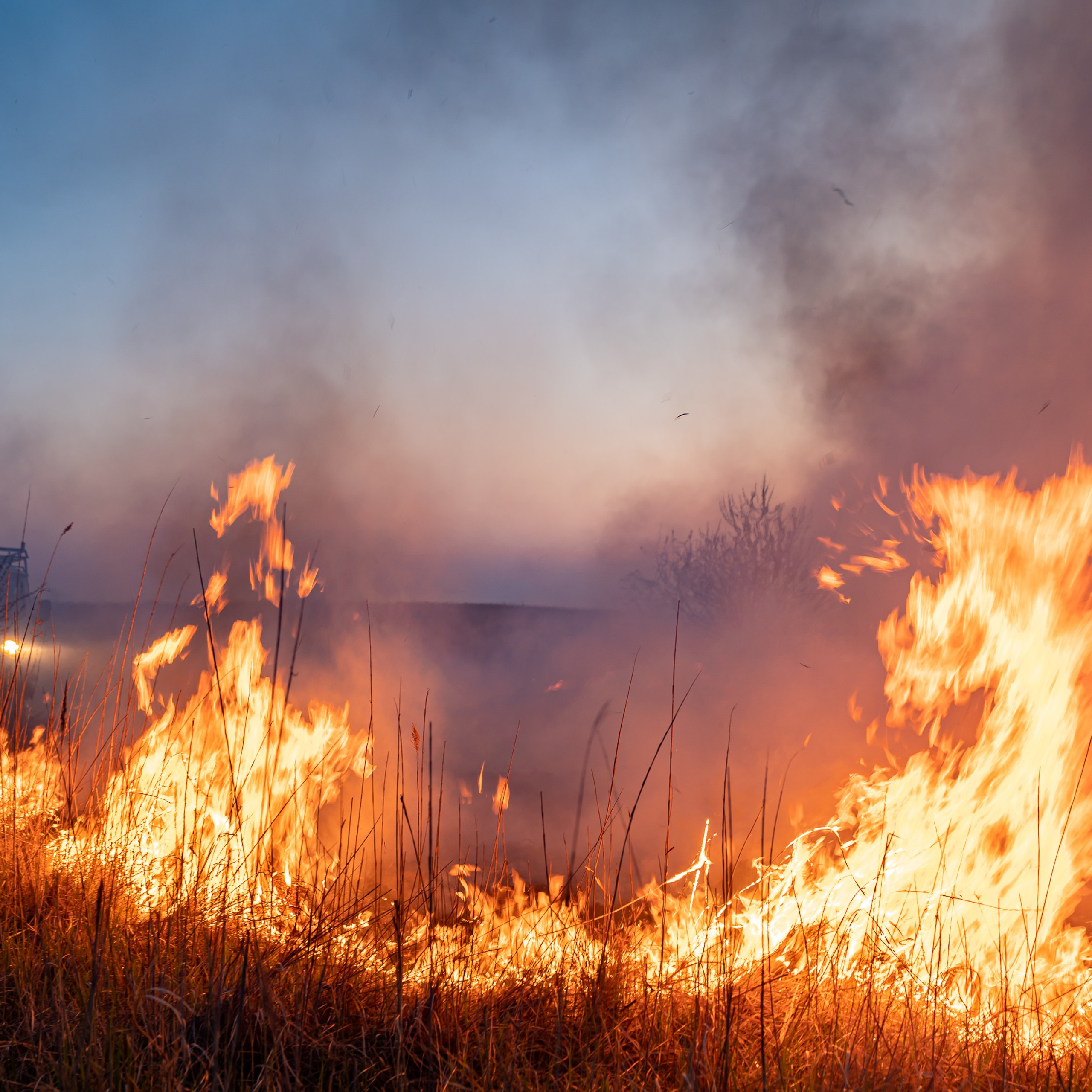 Фото Ростова-на-Дону скачать бесплатно | Красивые виды города, достопримечательности, фасады заведений. Свадебный и семейный фотограф в Ростове-на-Дону. Андрей Сайфутдинов