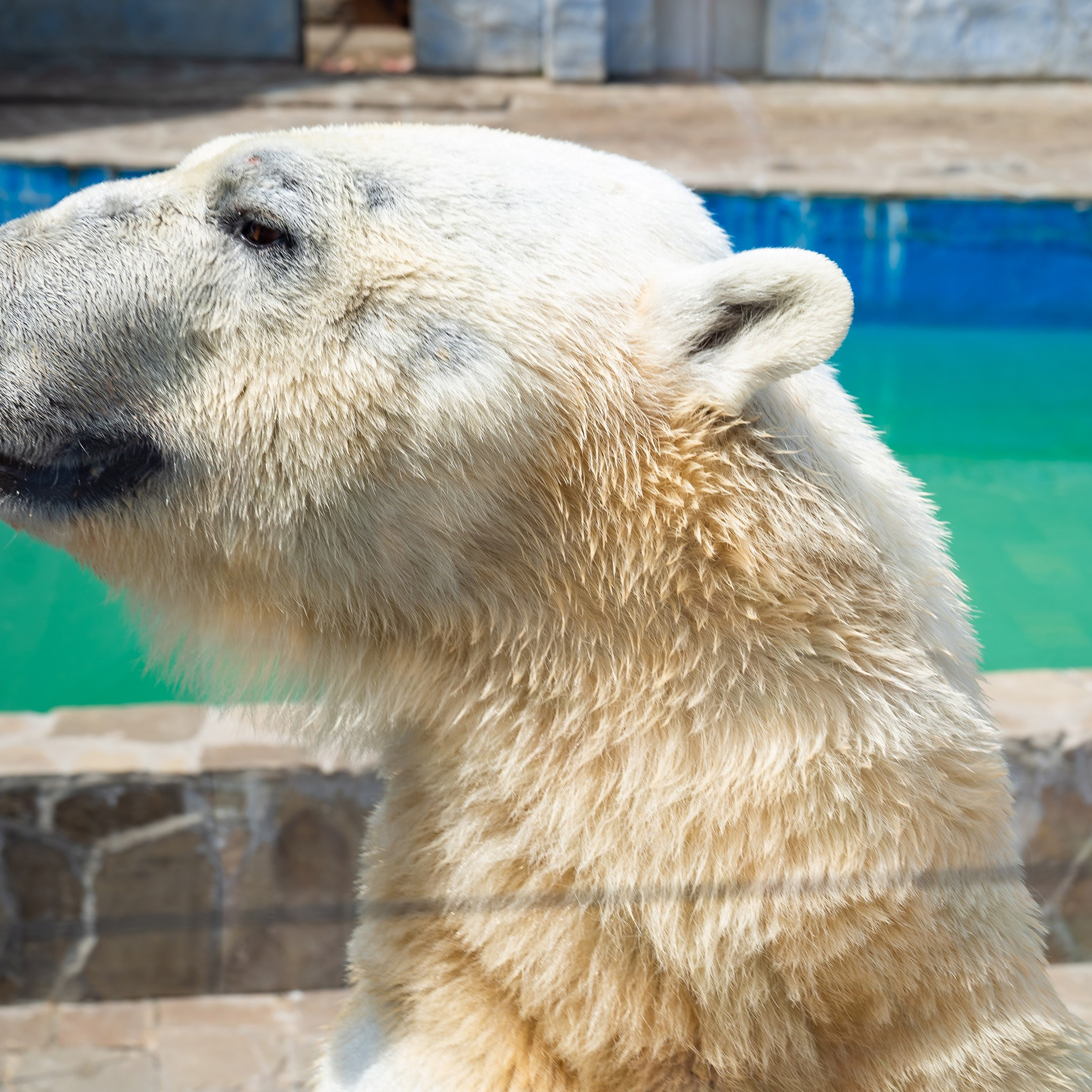 Фото Ростова-на-Дону скачать бесплатно | Красивые виды города, достопримечательности, фасады заведений. Свадебный и семейный фотограф в Ростове-на-Дону. Андрей Сайфутдинов