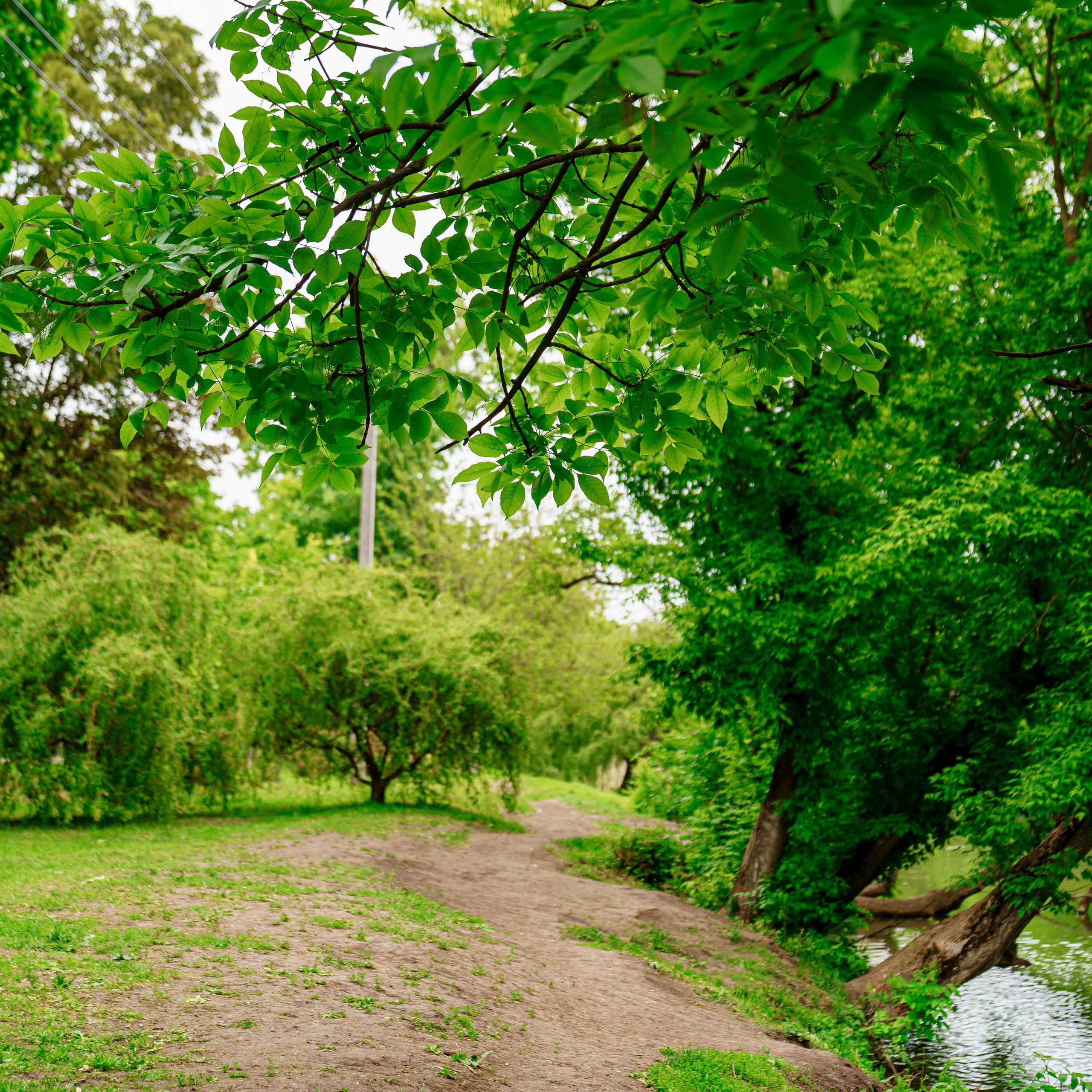 Фото Ростова-на-Дону скачать бесплатно | Красивые виды города, достопримечательности, фасады заведений. Свадебный и семейный фотограф в Ростове-на-Дону. Андрей Сайфутдинов