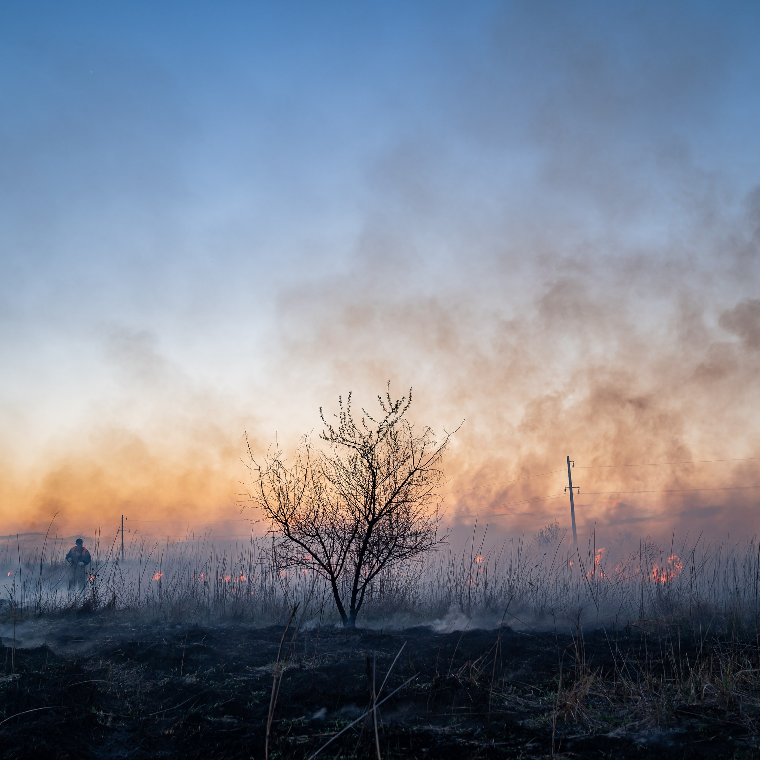 Фото Ростова-на-Дону скачать бесплатно | Красивые виды города, достопримечательности, фасады заведений. Свадебный и семейный фотограф в Ростове-на-Дону. Андрей Сайфутдинов