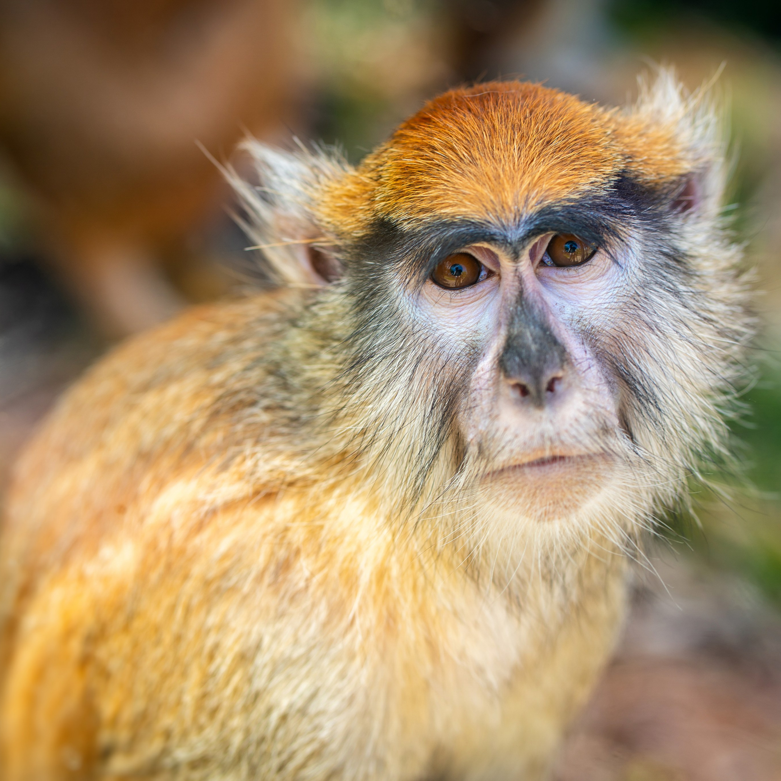 Фото Ростова-на-Дону скачать бесплатно | Красивые виды города, достопримечательности, фасады заведений. Свадебный и семейный фотограф в Ростове-на-Дону. Андрей Сайфутдинов
