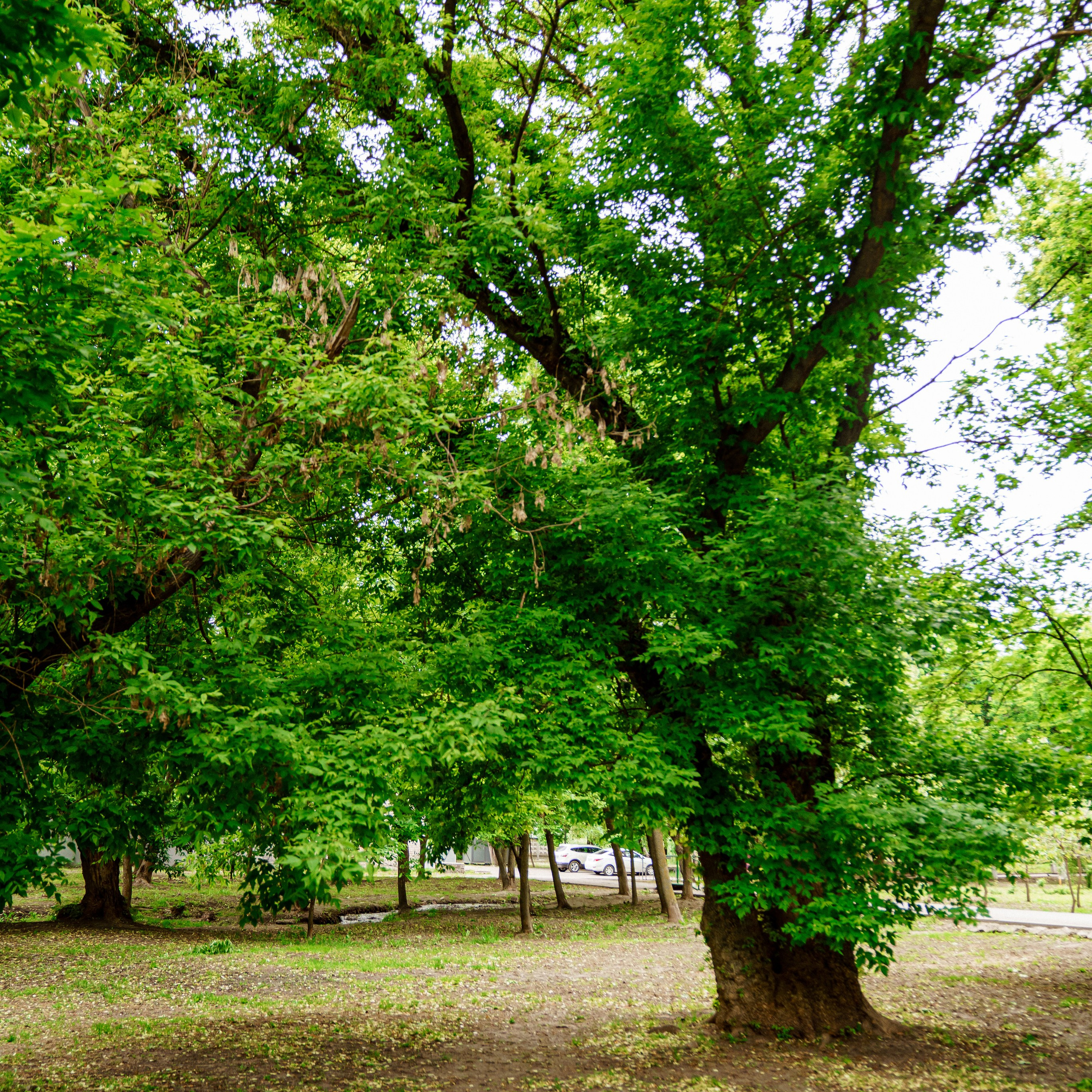 Фото Ростова-на-Дону скачать бесплатно | Красивые виды города, достопримечательности, фасады заведений. Свадебный и семейный фотограф в Ростове-на-Дону. Андрей Сайфутдинов