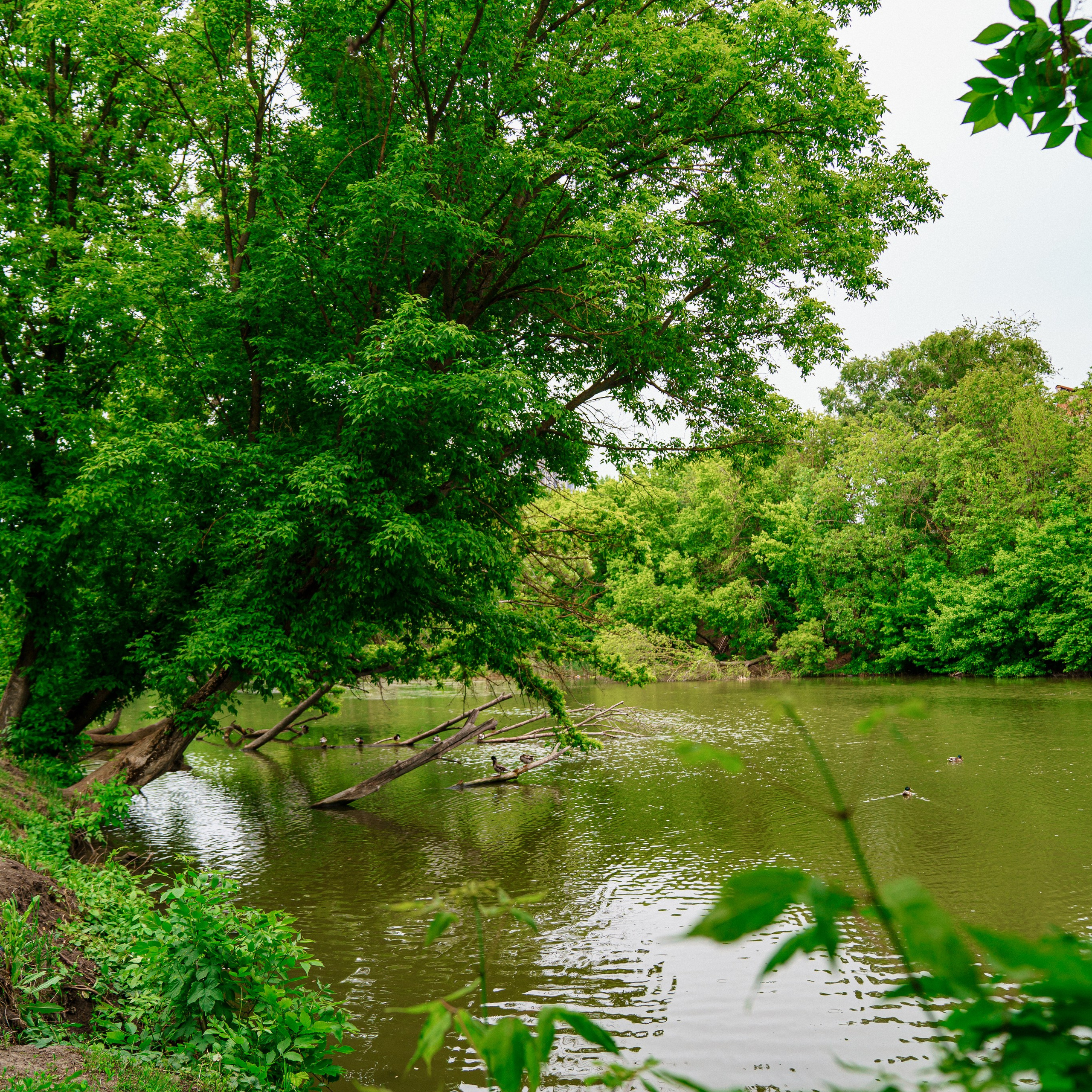 Фото Ростова-на-Дону скачать бесплатно | Красивые виды города, достопримечательности, фасады заведений. Свадебный и семейный фотограф в Ростове-на-Дону. Андрей Сайфутдинов