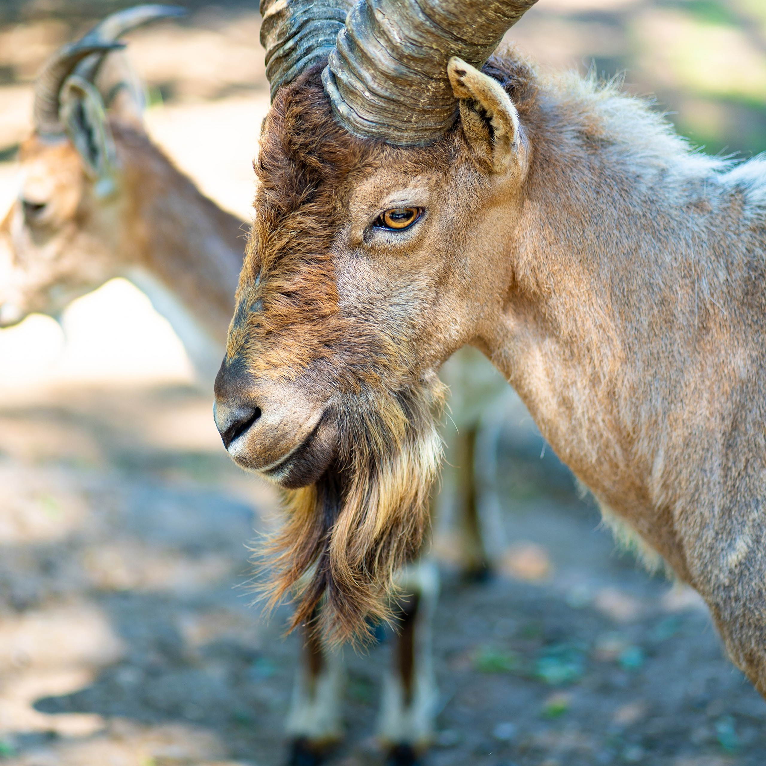 Фото Ростова-на-Дону скачать бесплатно | Красивые виды города, достопримечательности, фасады заведений. Свадебный и семейный фотограф в Ростове-на-Дону. Андрей Сайфутдинов